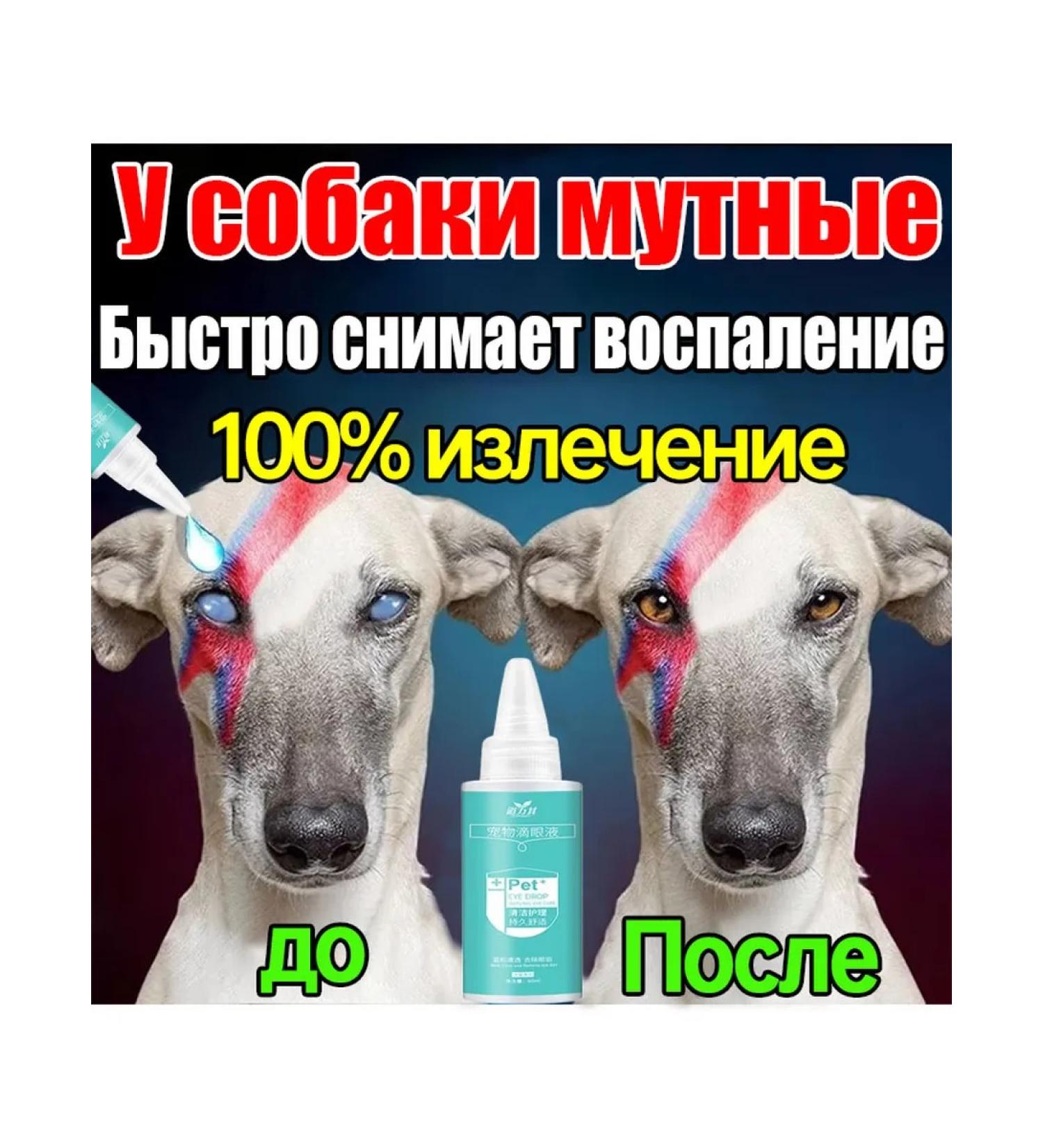 Medical ophthalmic drops for dogs 60 ml - Buy Online on GoSupps.com