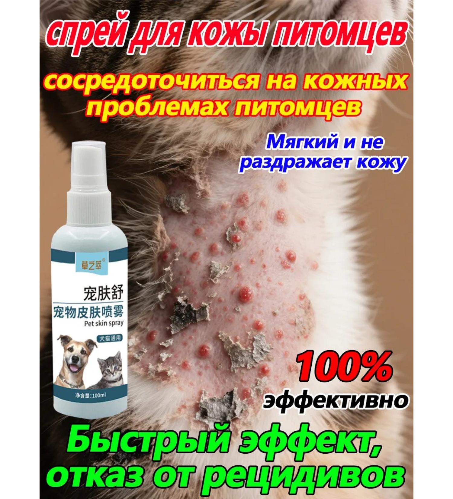 Spray for cats and dogs from skin problems 100 ml - Buy Online on GoSupps.com