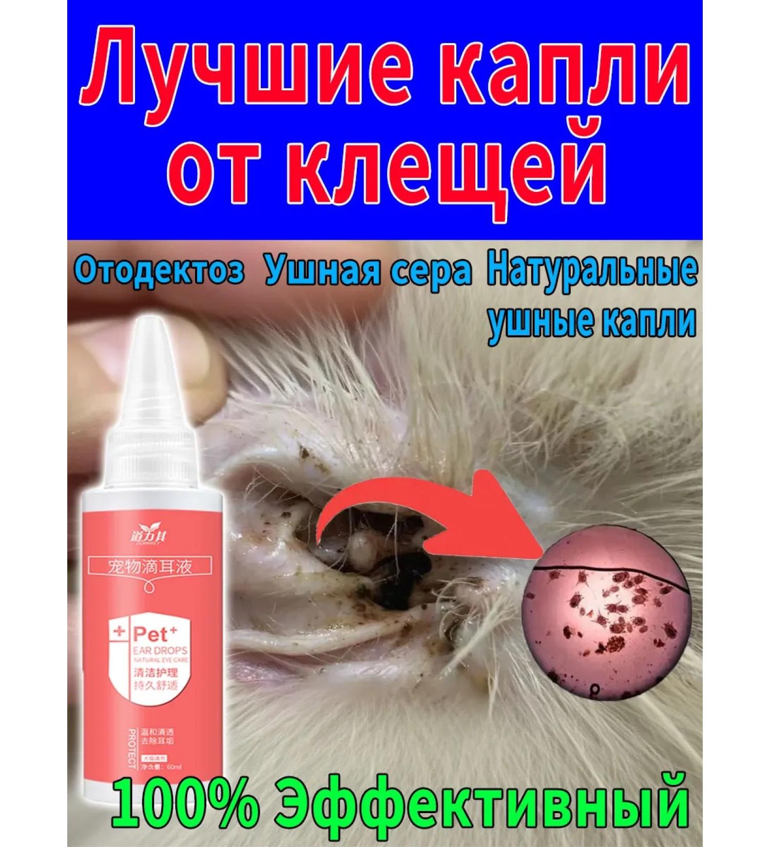 Ear drops for cats from ticks 60 ml - Buy Online on GoSupps.com
