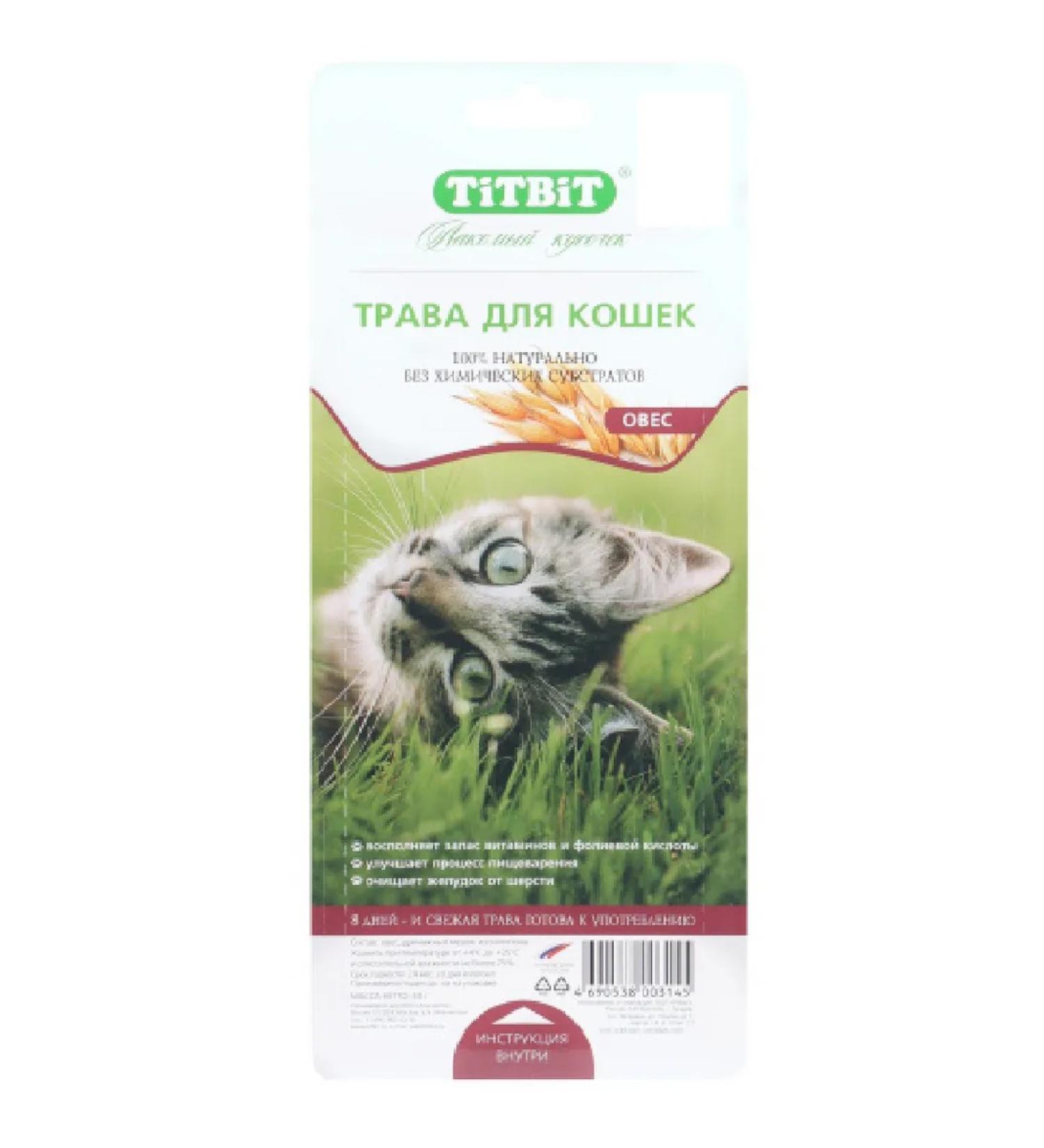 TiTBiT Grass for cats for germination 40 g