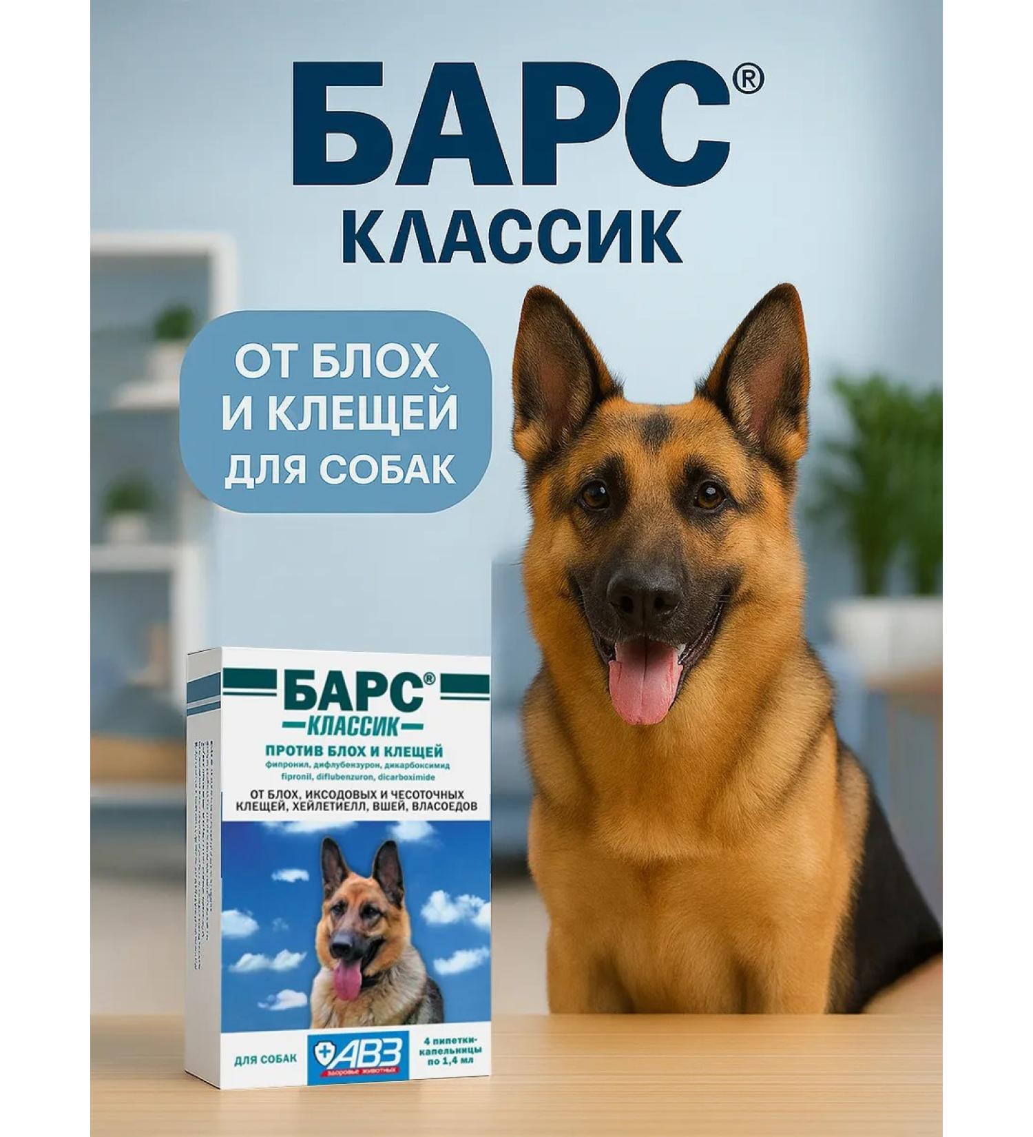 AVZ BARS flea and tick repellent for dogs protection up to 2 months  - Buy Online on GoSupps.com