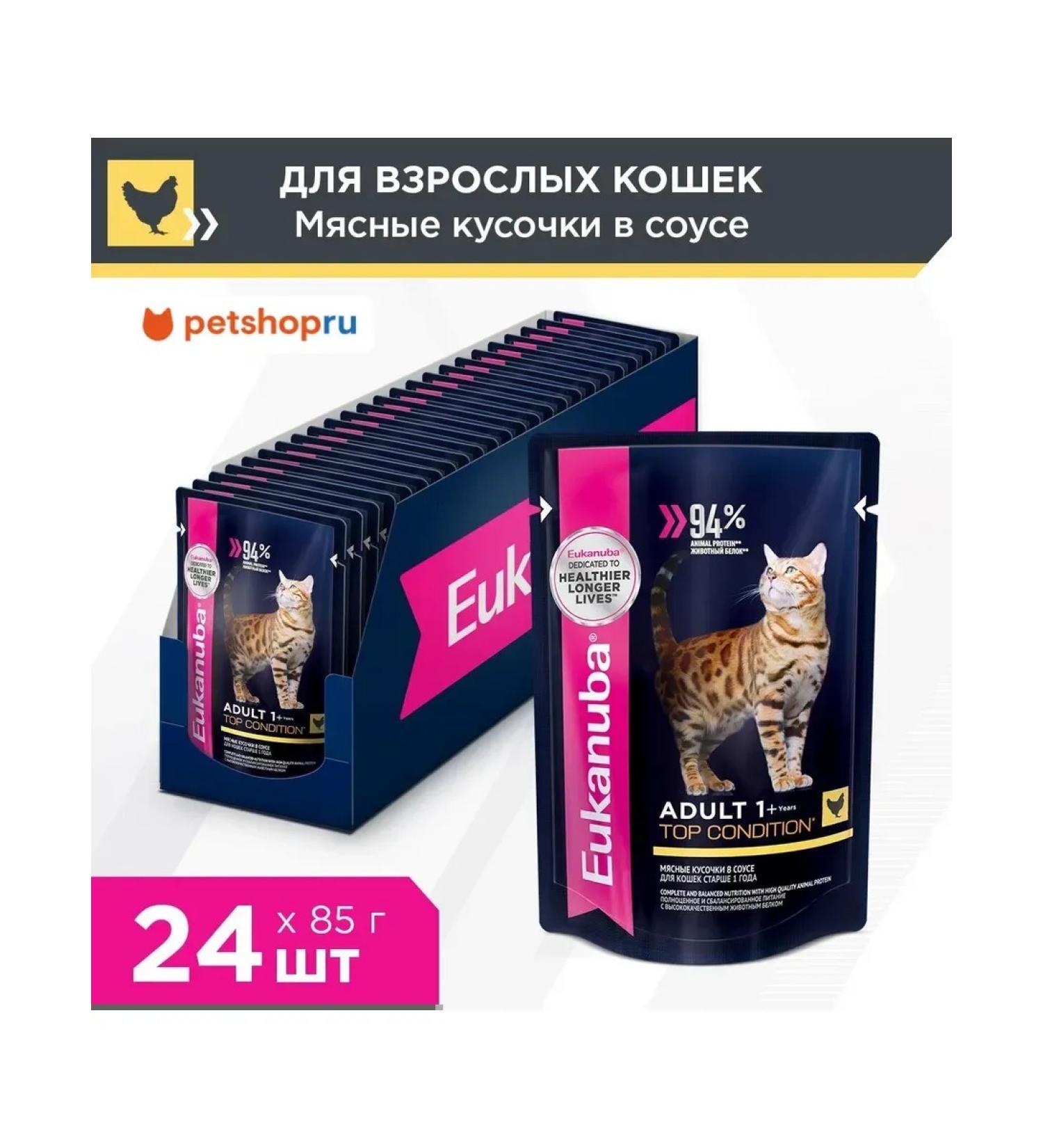 Eukanuba Spider for cats with chicken in sauce 24 x 85g - Buy Online on GoSupps.com