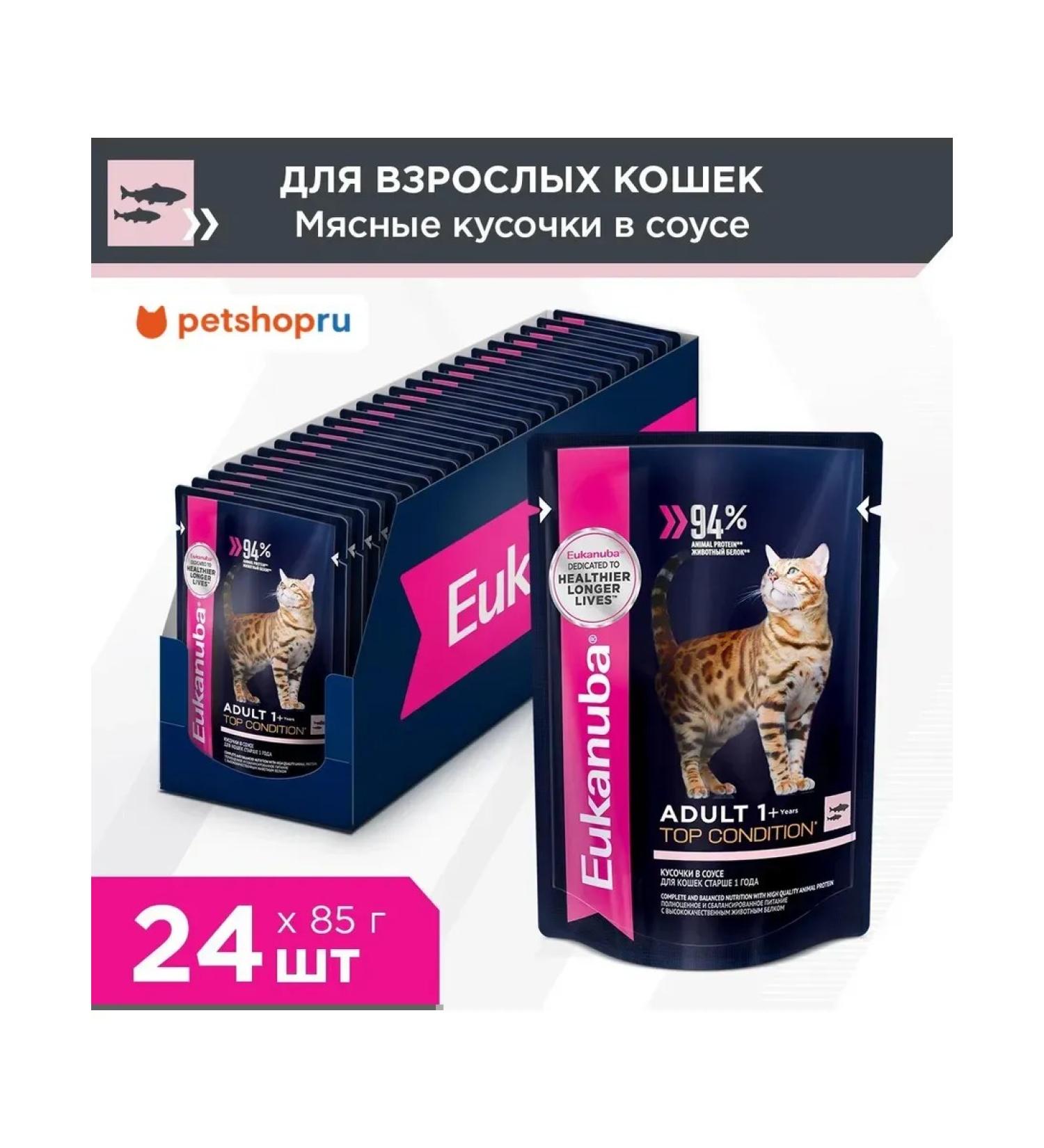 Eukanuba Spider for cats with salmon in sauce 24 x 85g - Buy Online on GoSupps.com