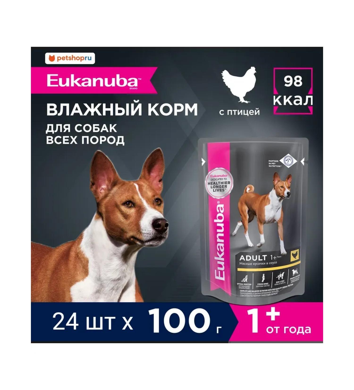 Eukanuba Spider for dogs with chicken in sauce 24 x 85g - Buy Online on GoSupps.com