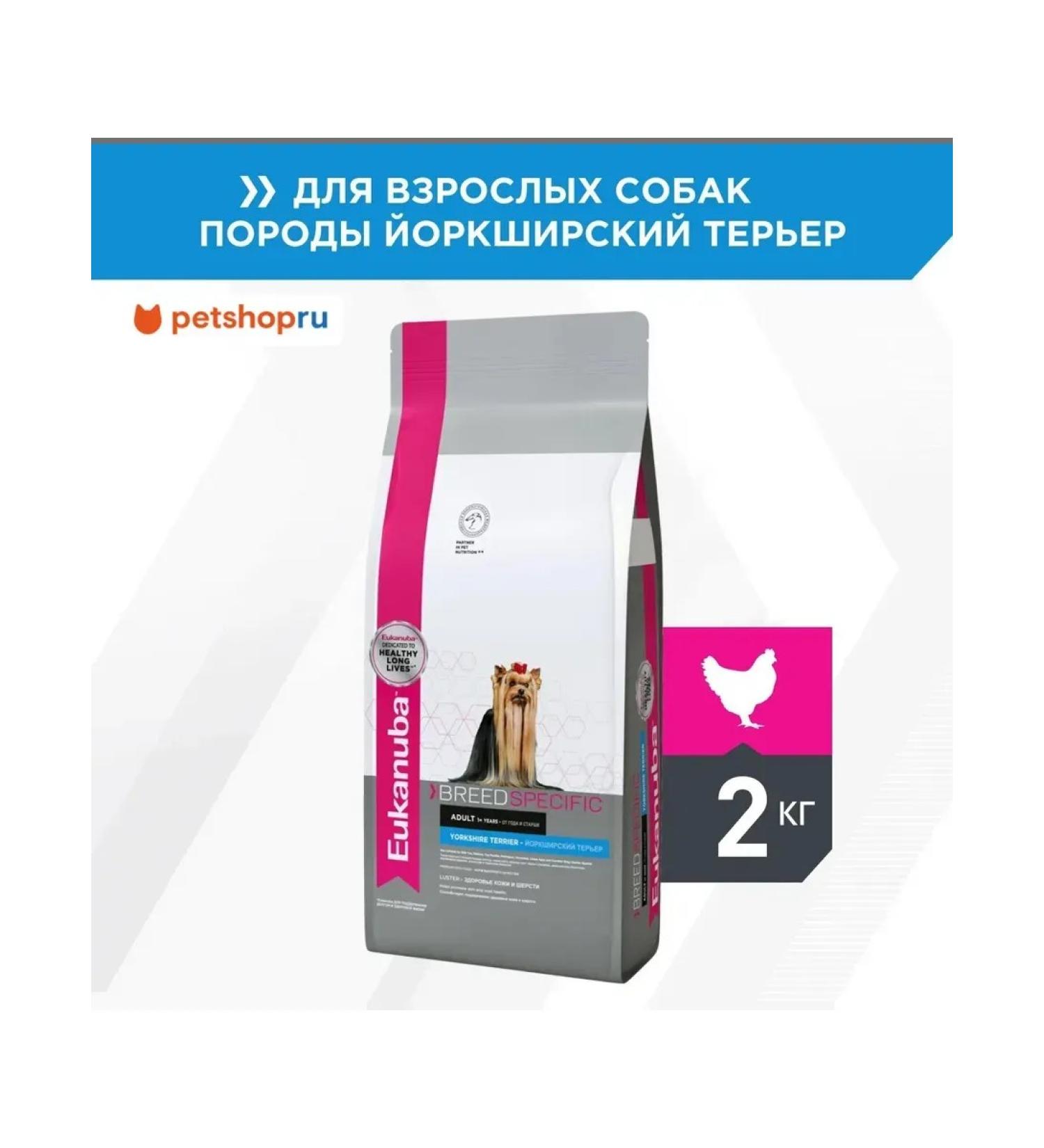 Eukanuba Dry food for the Yorkshire Terrier 2kg - Buy Online on GoSupps.com