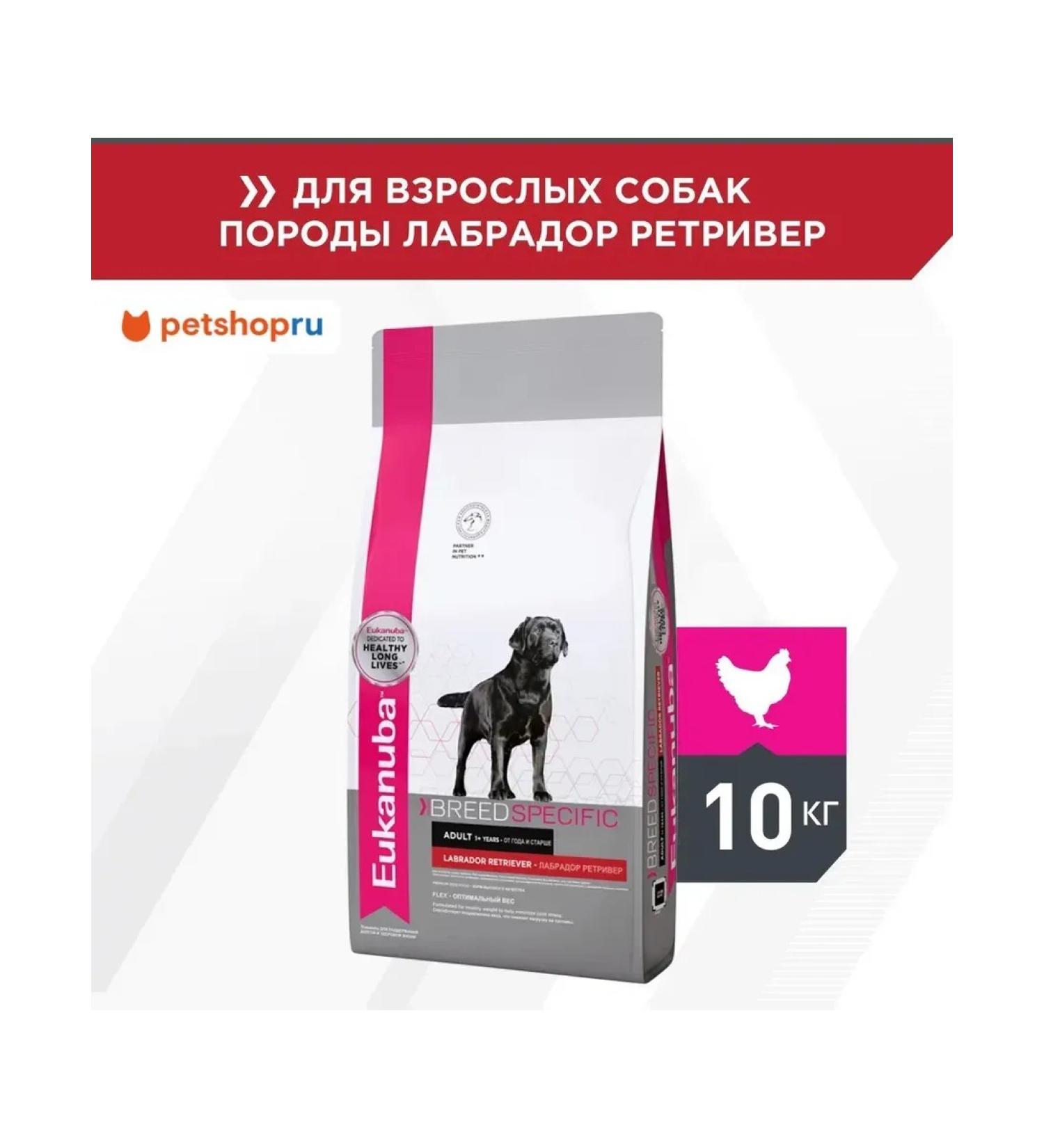 Eukanuba Dry food for Labrador-Retriever 10kg - Buy Online on GoSupps.com