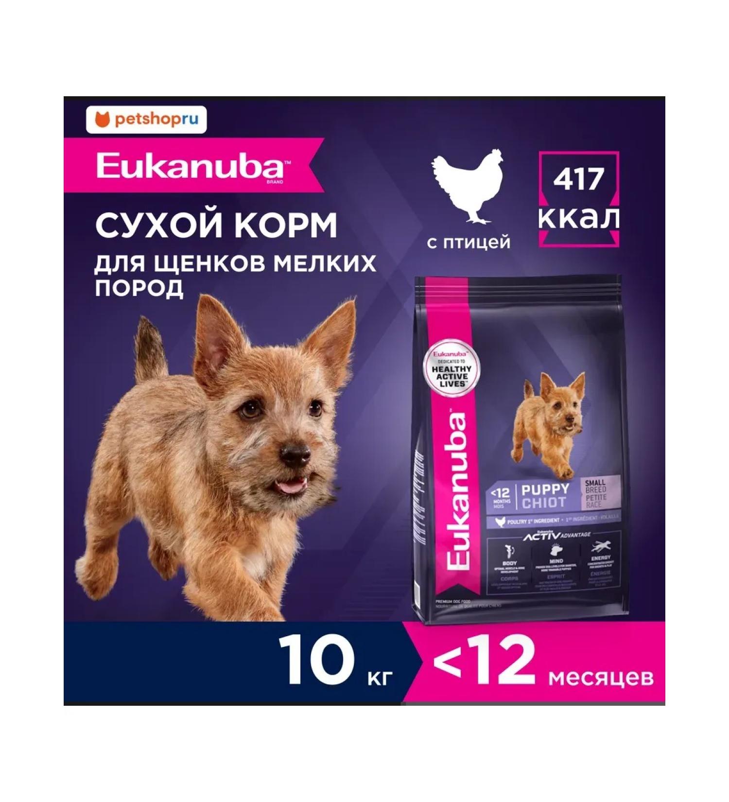 Eukanuba Dry food for puppies with chicken 10kg - Buy Online on GoSupps.com