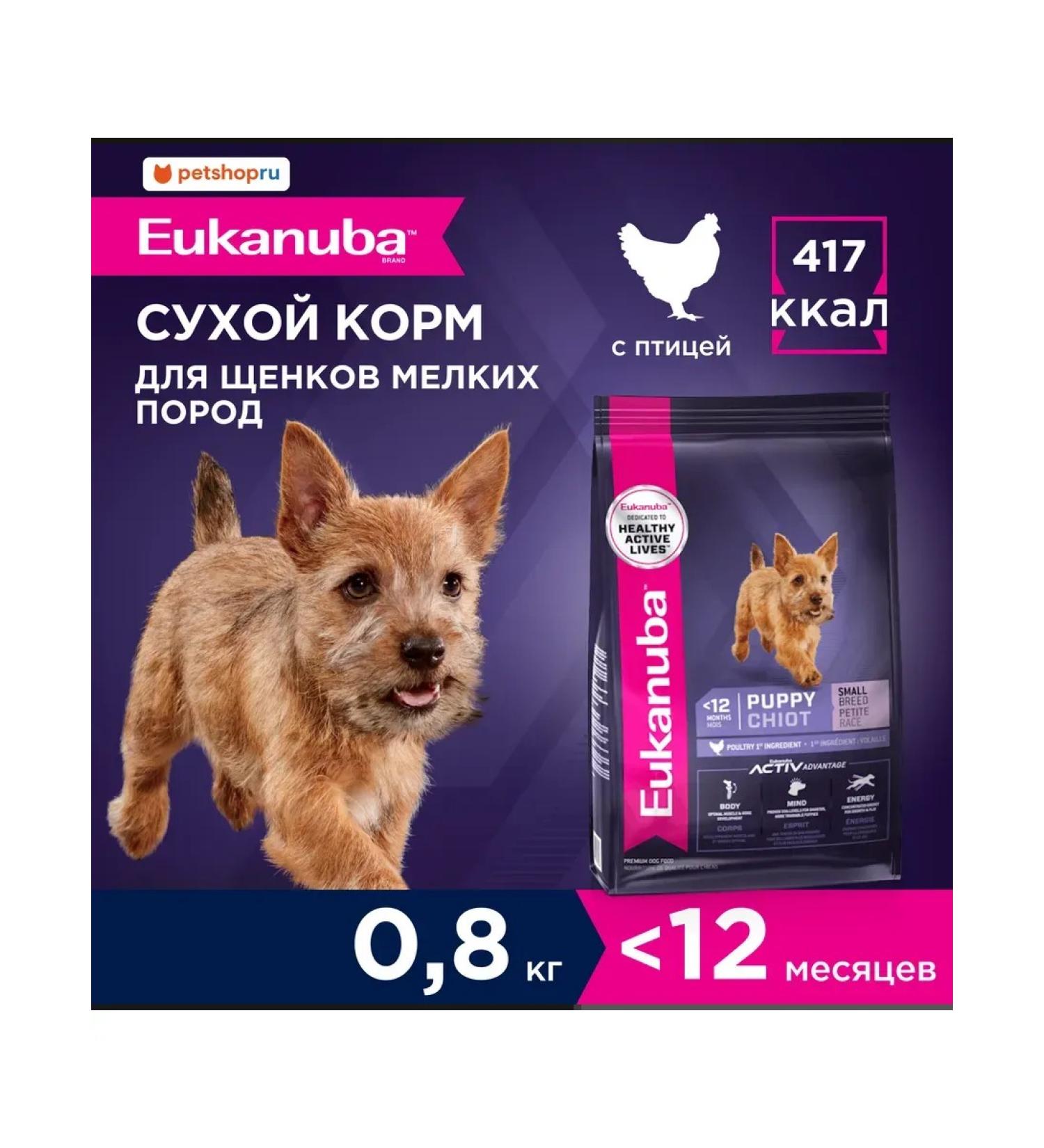 Eukanuba Dry food for puppies with chicken 800g - Buy Online on GoSupps.com