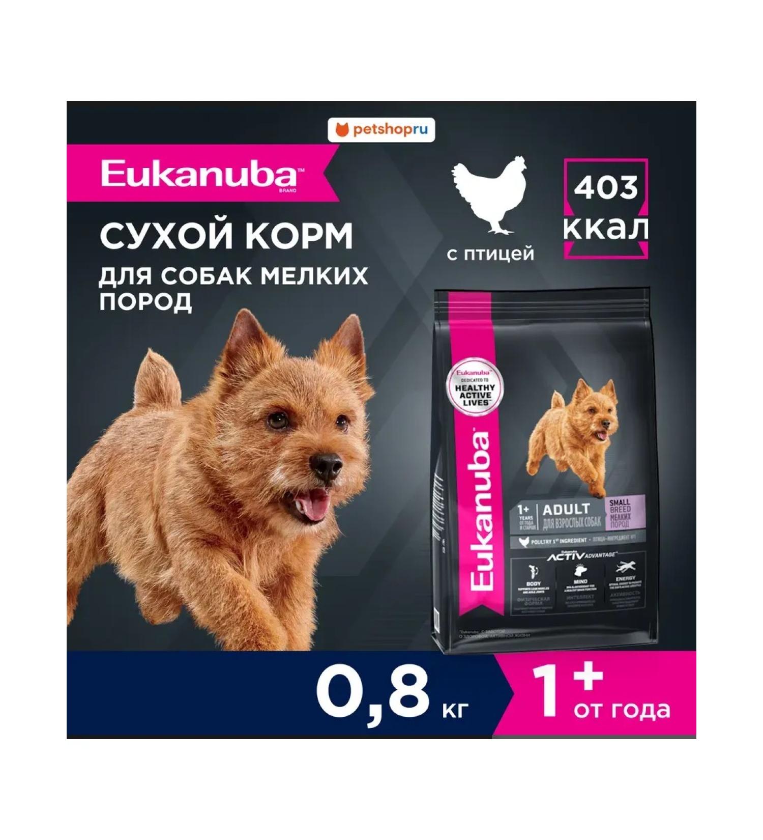 Eukanuba Dry food for dogs with birds 0.8 kg - Buy Online on GoSupps.com