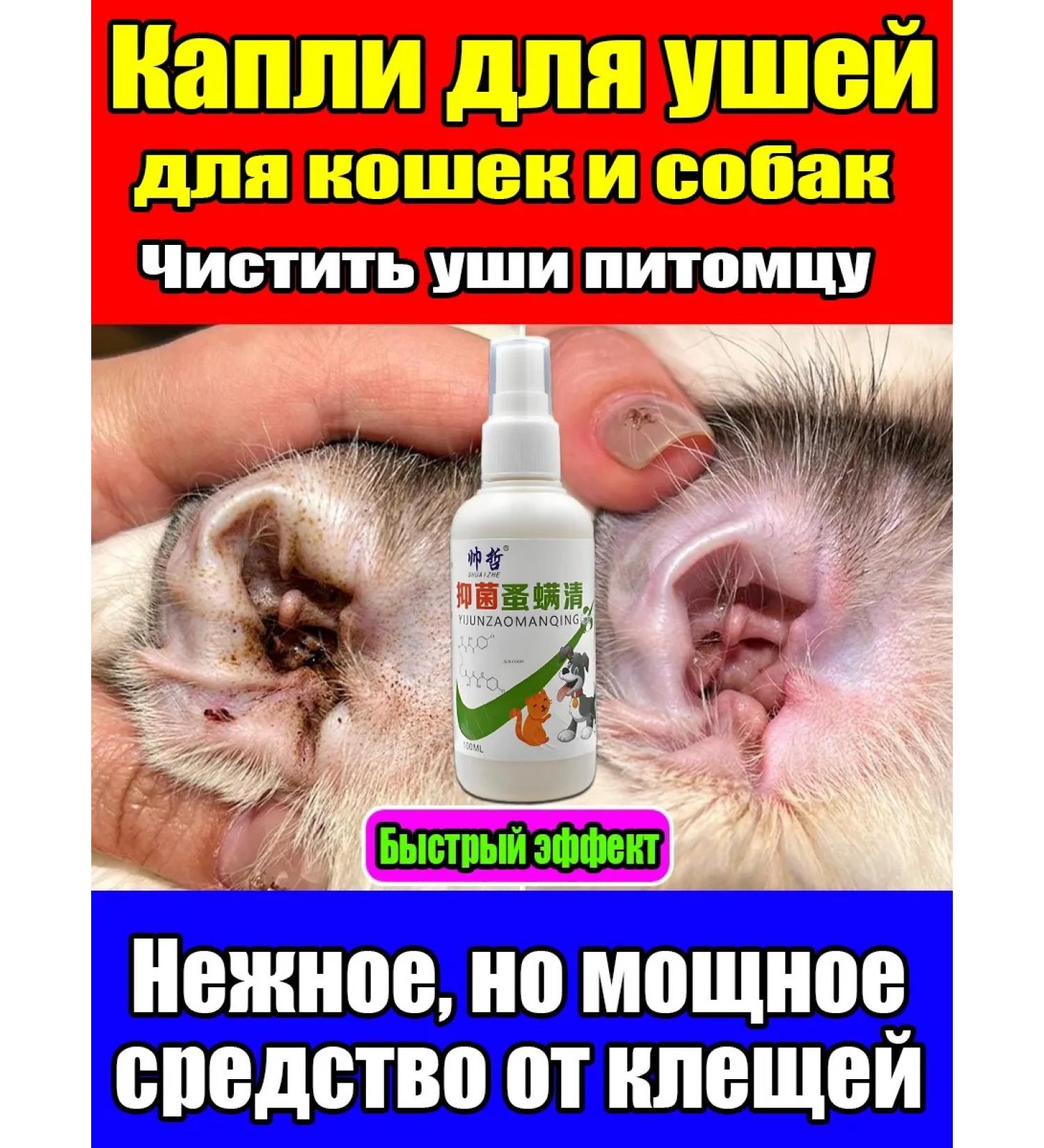 Ear drops for cats and dogs from ticks 60ml - Buy Online on GoSupps.com