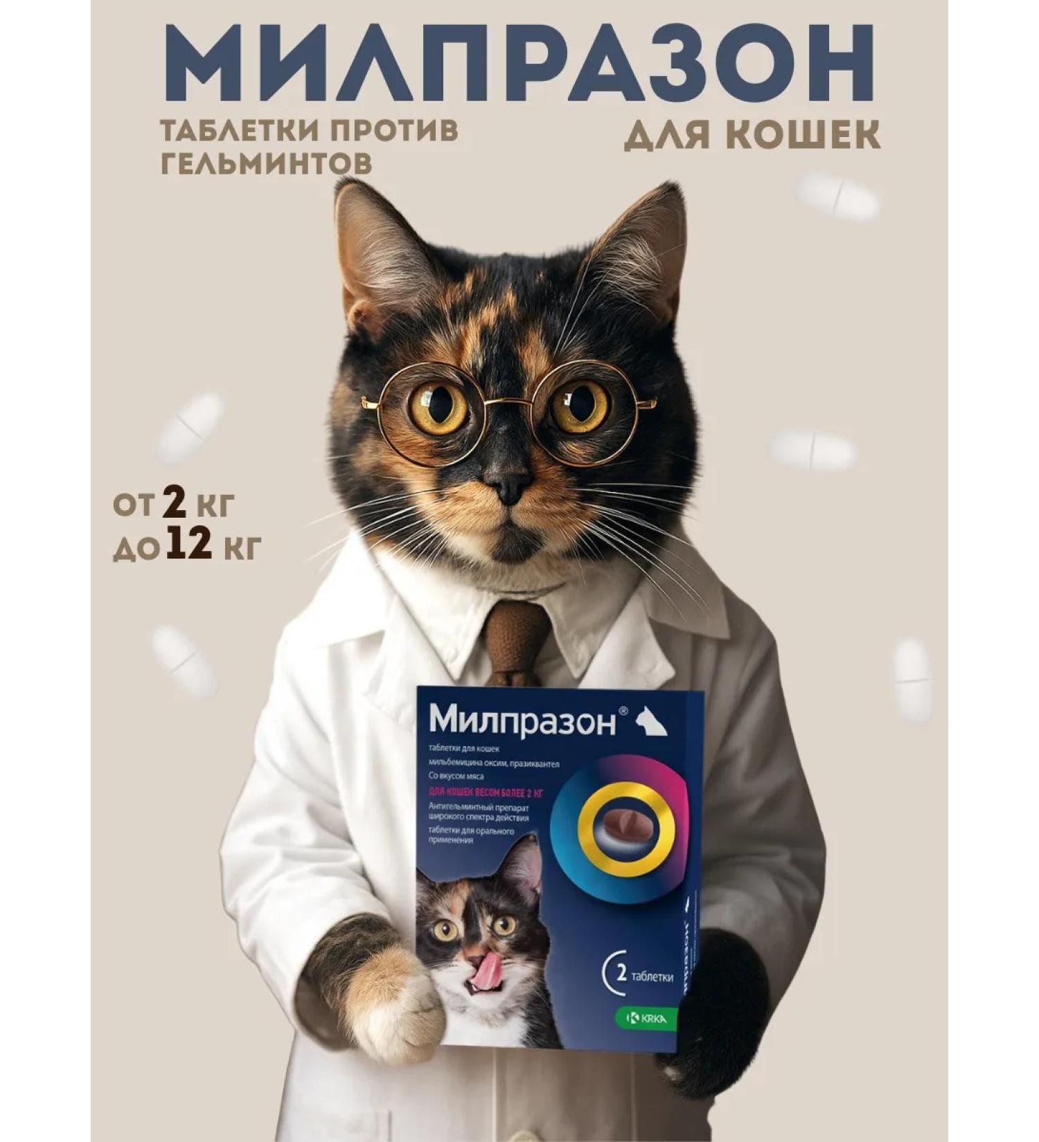 KRKA Milprazone 16 mg for cats more than 2 kg tablets 2 pcs - Buy Online on GoSupps.com