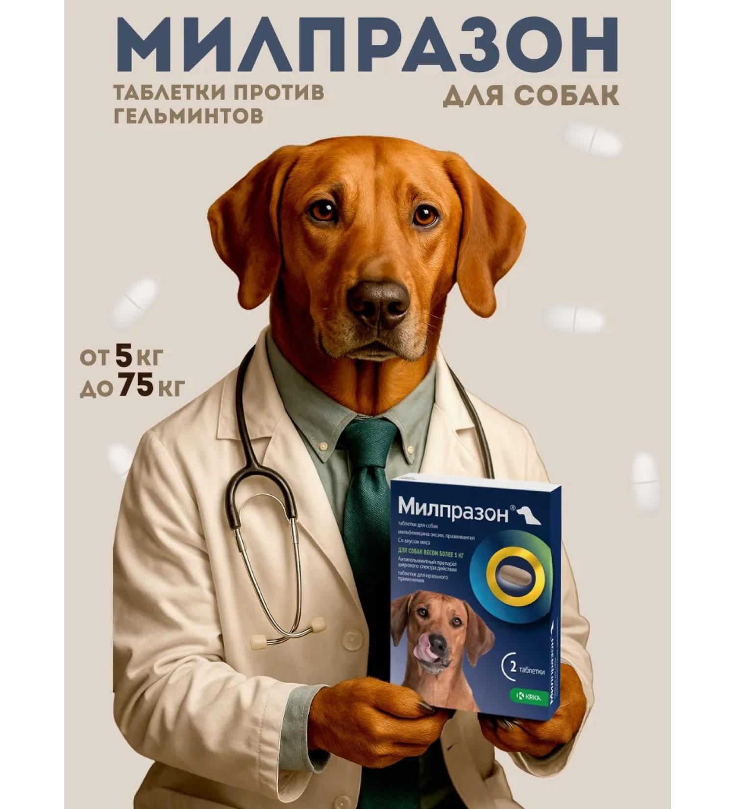 KRKA Milprazone 12.5 mg for dogs more than 5 kg tablets 2 pcs