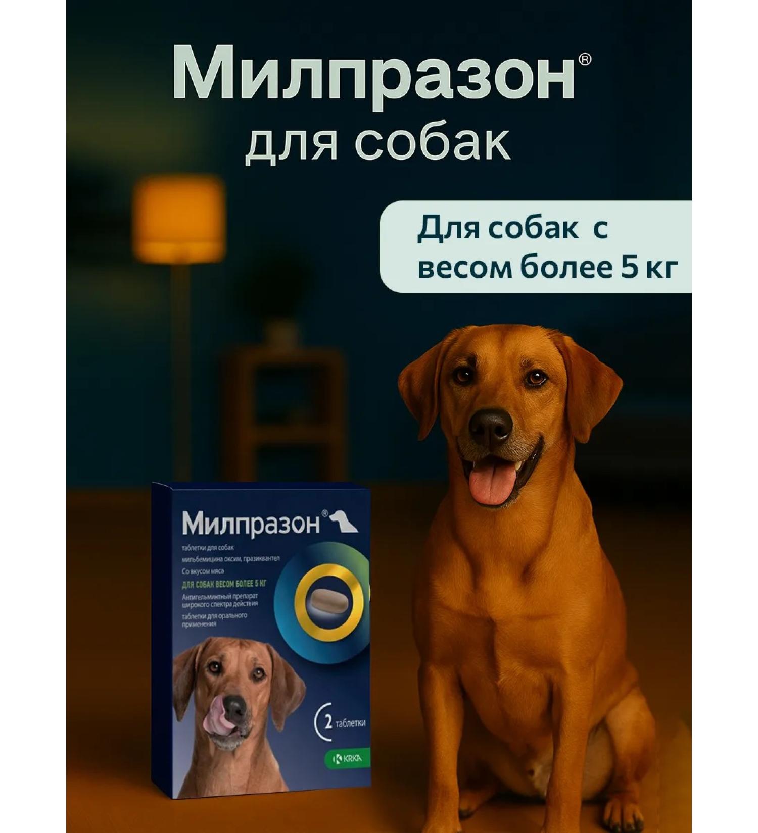KRKA Milprazone 12.5 mg 125 mg - for medium dogs (5 25 kg) - Buy Online on GoSupps.com