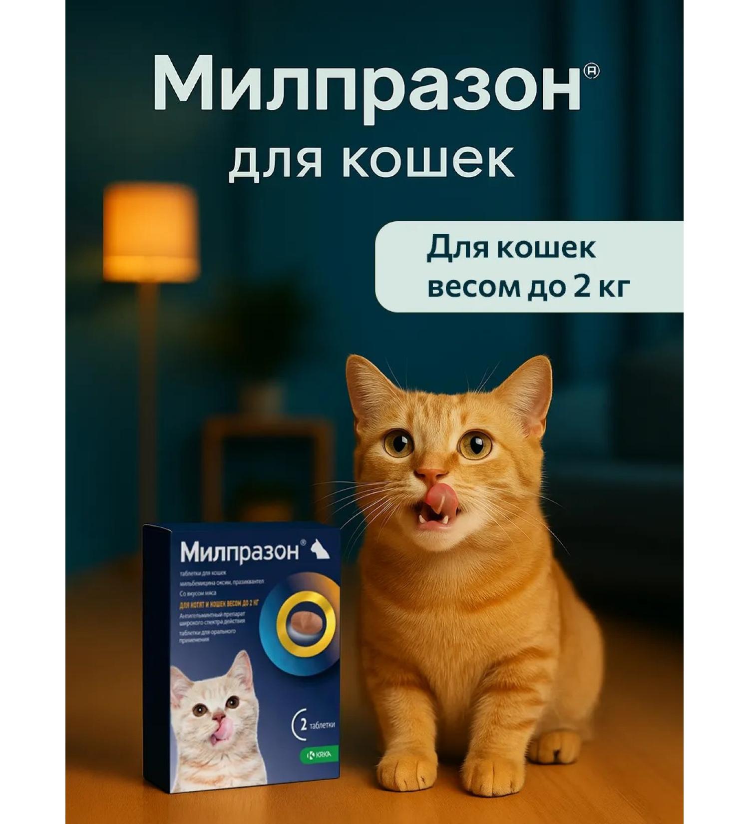 KRKA Milprazone 4 mg 10 mg - for kittens and cats (1-2 kg) - Buy Online on GoSupps.com