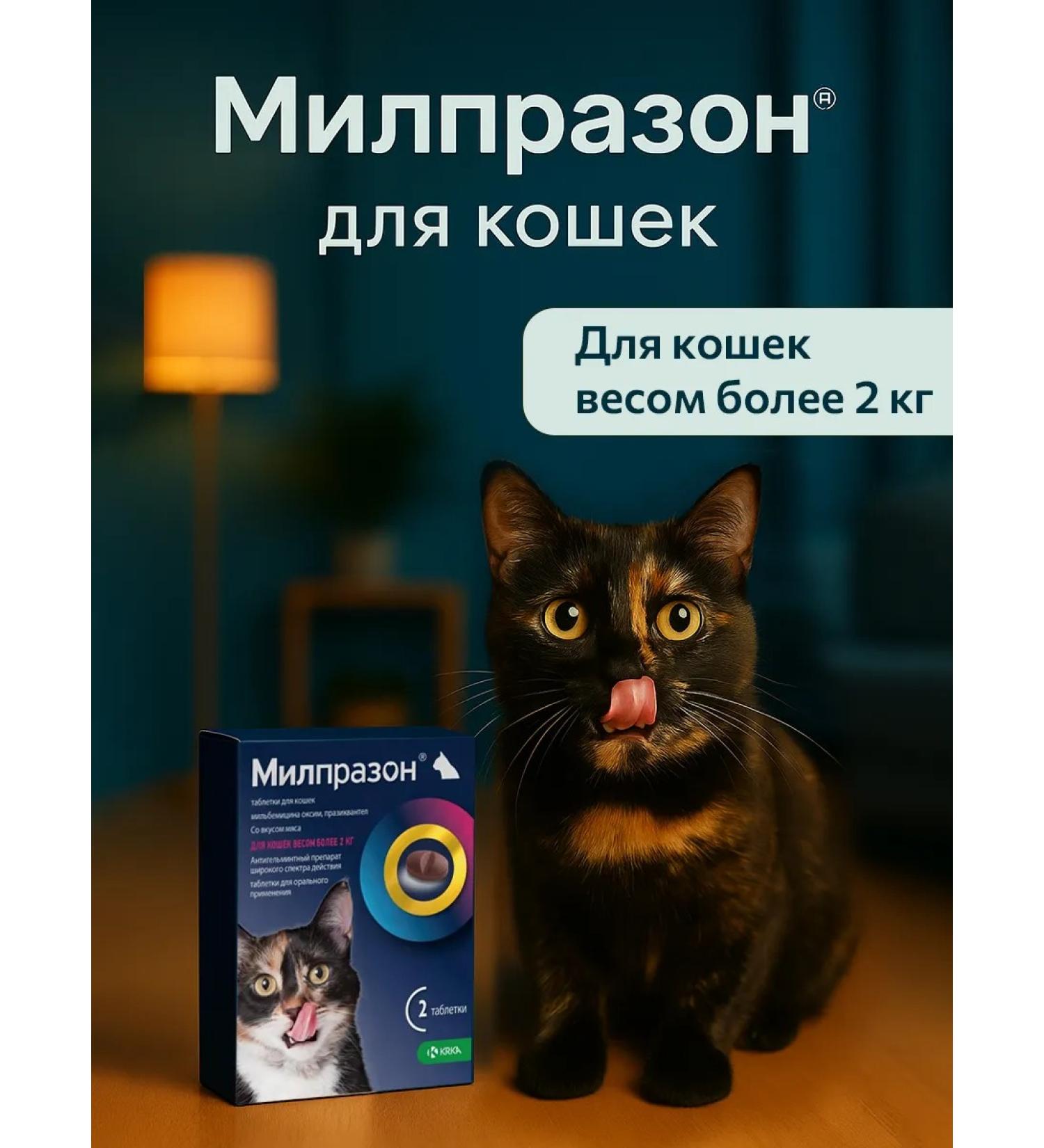 KRKA Milprazon 16 mg 40 mg - for cats from 2 kg - Buy Online on GoSupps.com