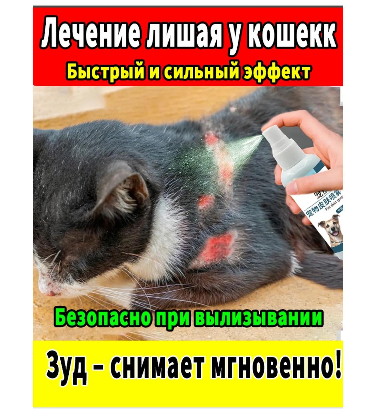 Remedy for lichen for cats spray - Buy Online on GoSupps.com