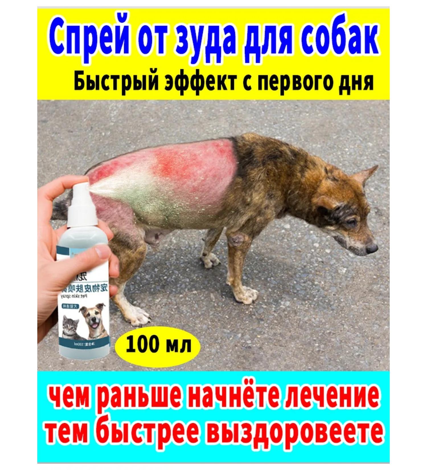Spray against itching for cats and dogs 100 ml - Buy Online on GoSupps.com