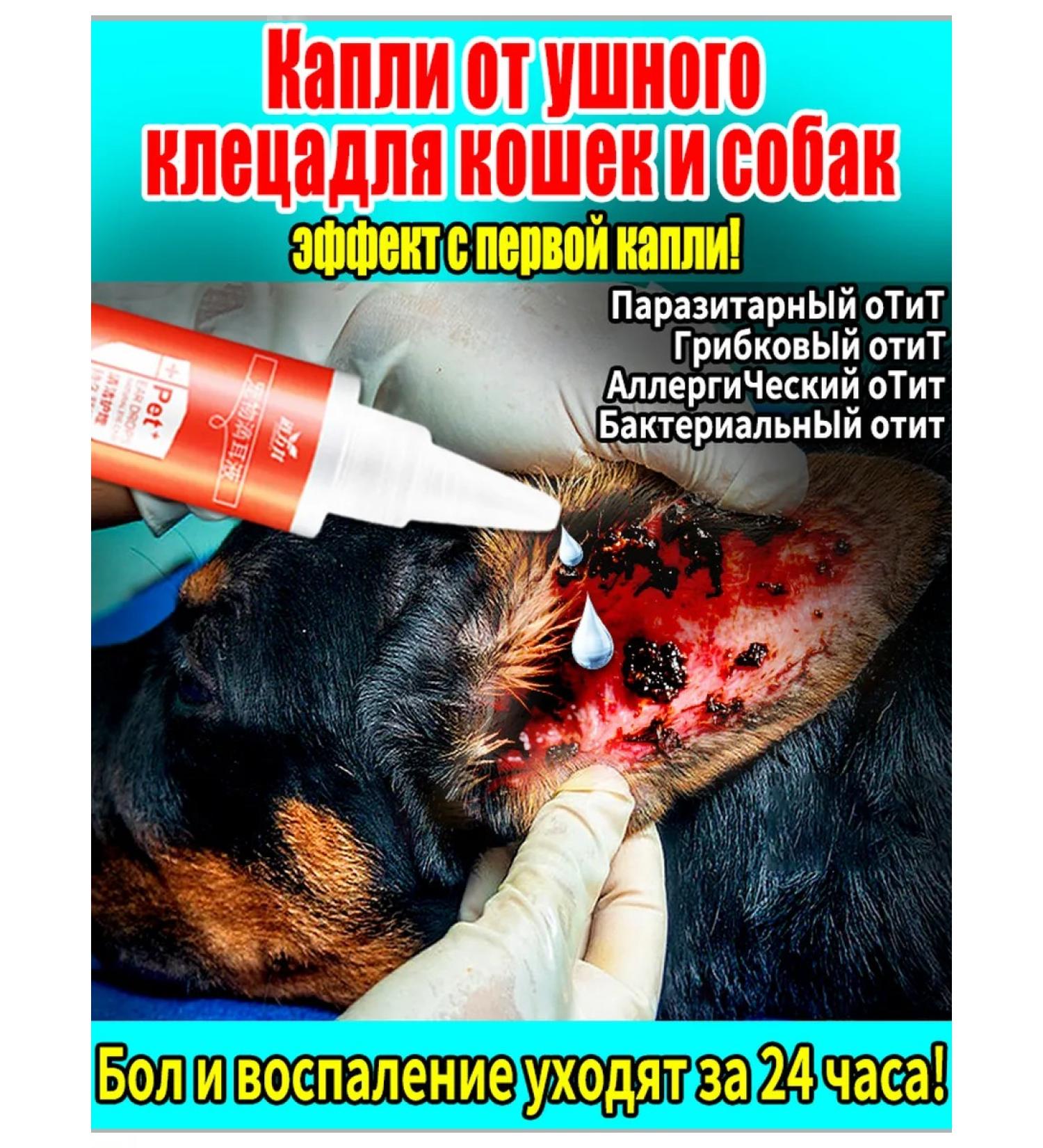 Drops from the ear tick for cats and dogs in the ears 60 ml - Buy Online on GoSupps.com