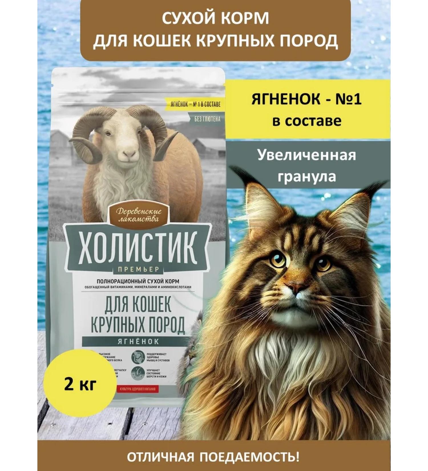 Holistic Premier Dry food for cats of large rocks - Buy Online on GoSupps.com