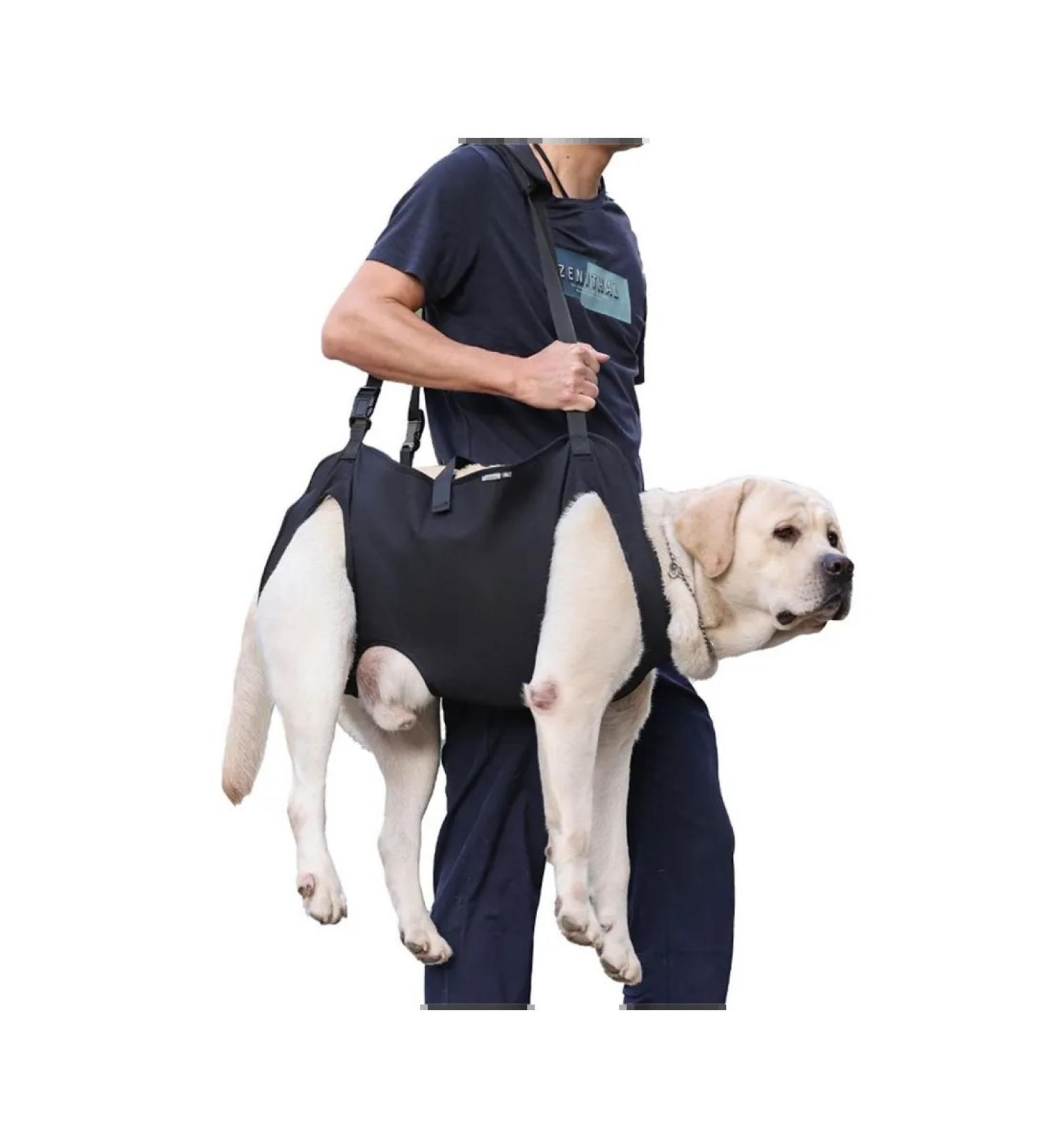 Dog assistance belt - Buy Online on GoSupps.com
