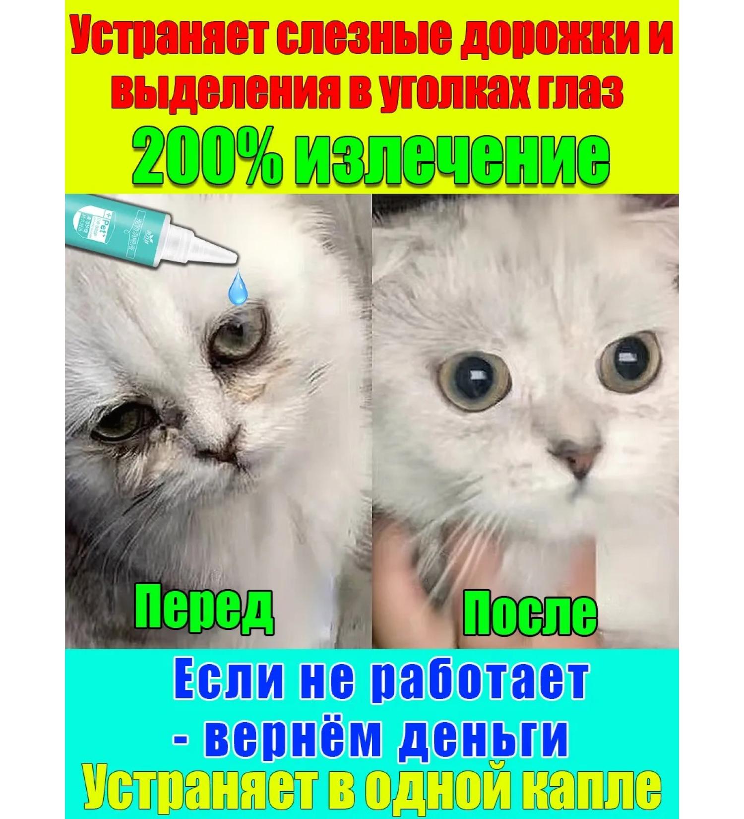 Drops for the eyes of dogs and cats 60 - Buy Online on GoSupps.com