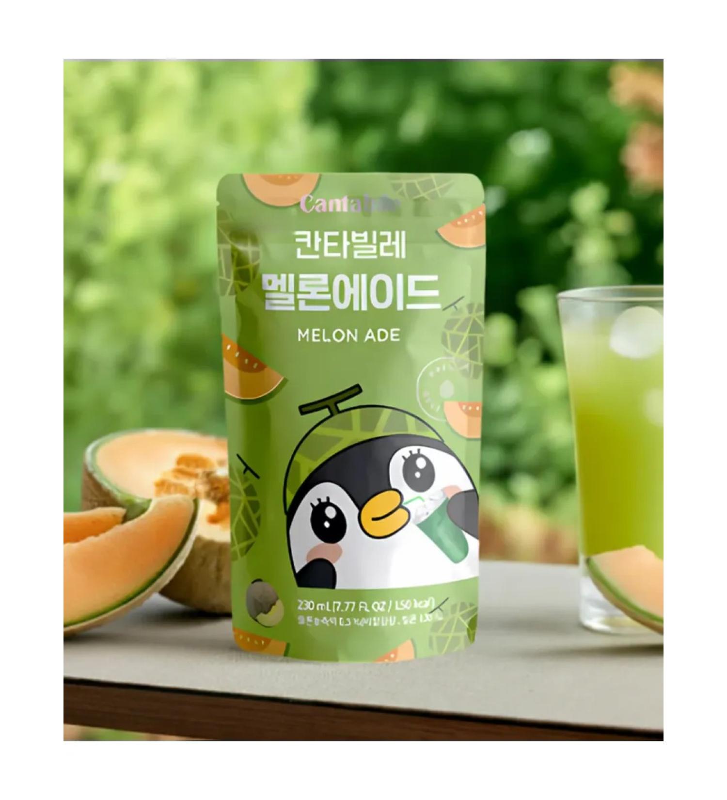 Red Dragon St Petersburg Drink - concentrate taste of melon Cantabile 230 ml