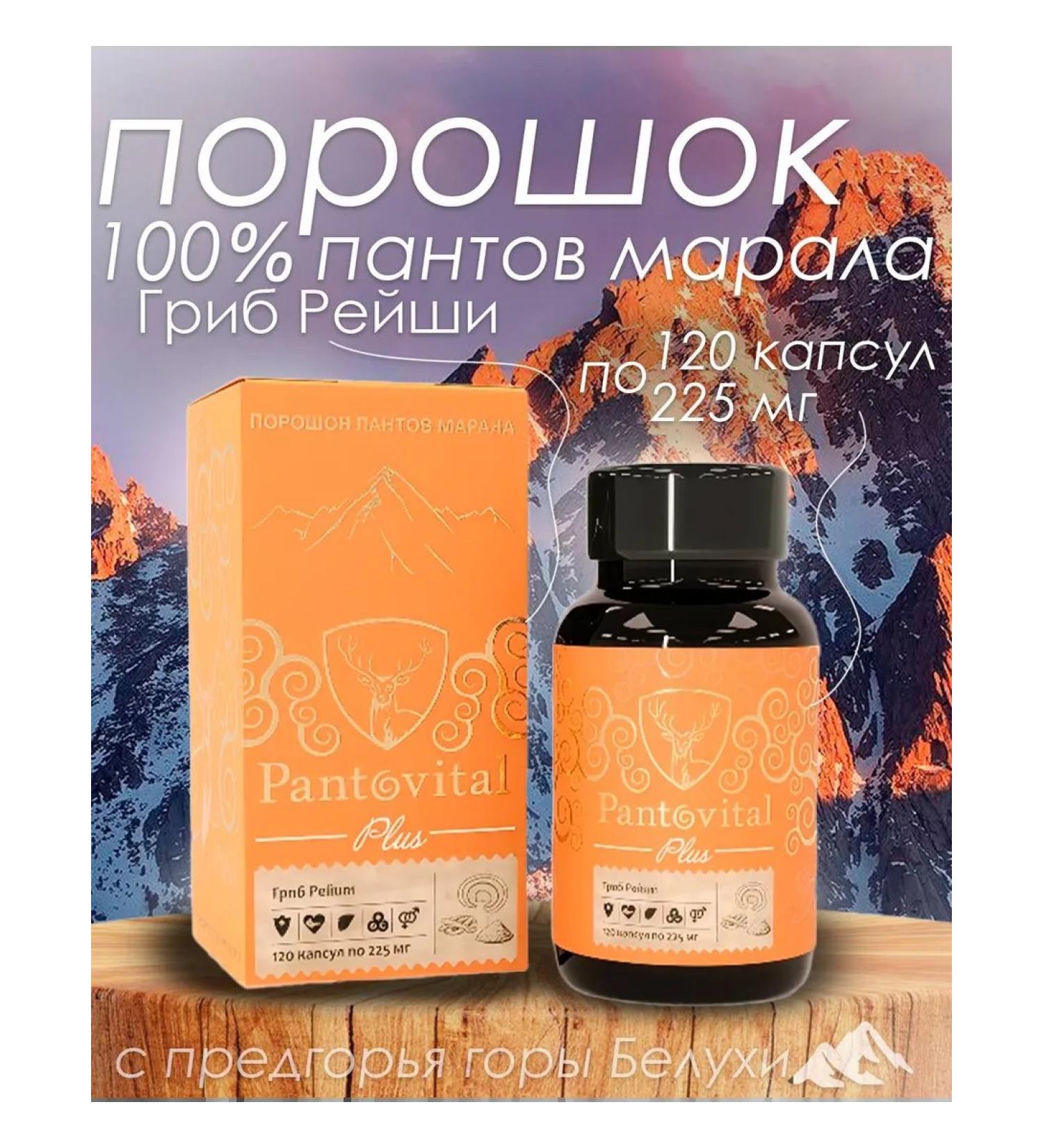 Reishi and Panta Maral Mushroom - Buy Online on GoSupps.com