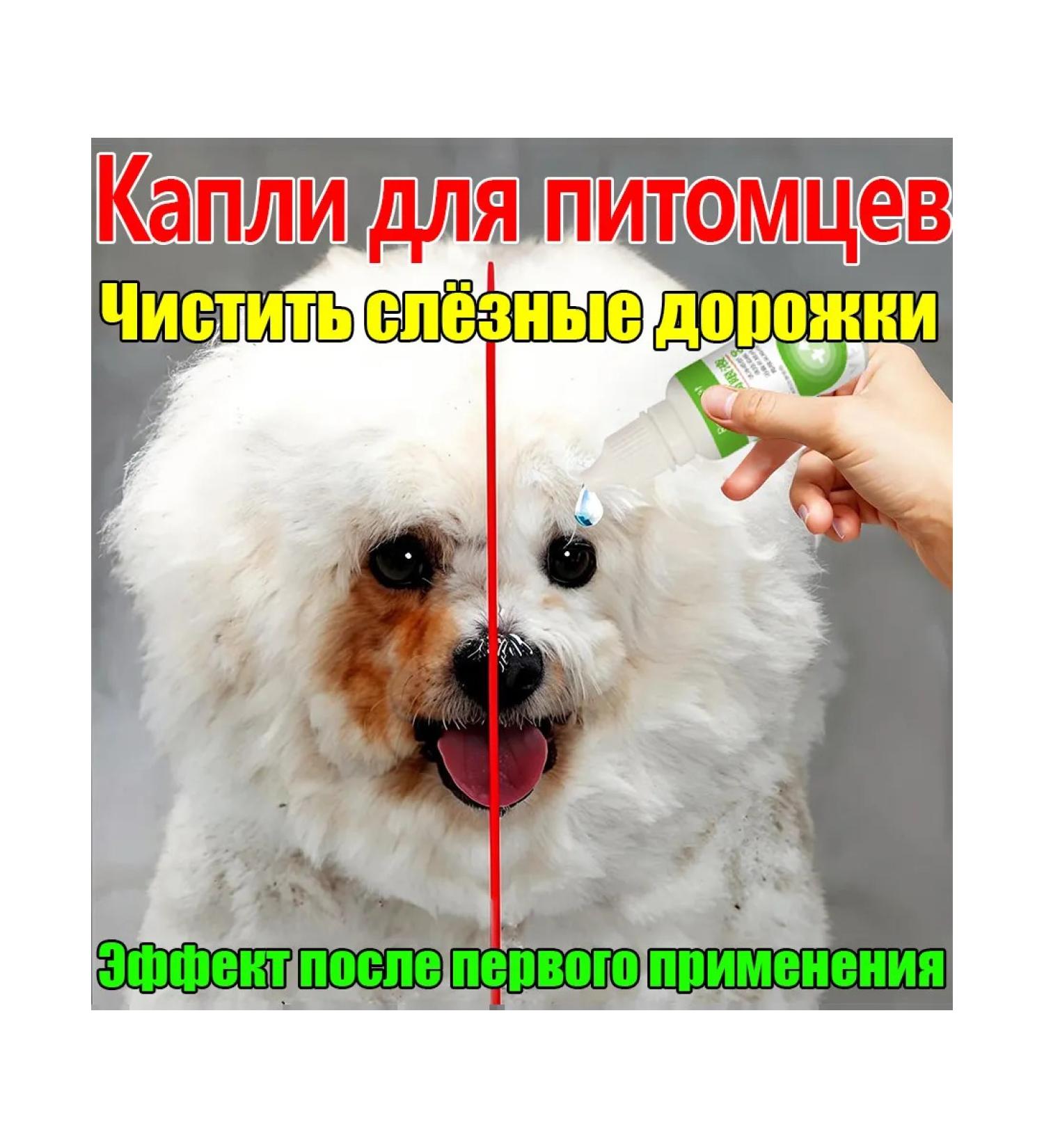 Drops for the eyes for cats and dogs 20ml*3 - Buy Online on GoSupps.com