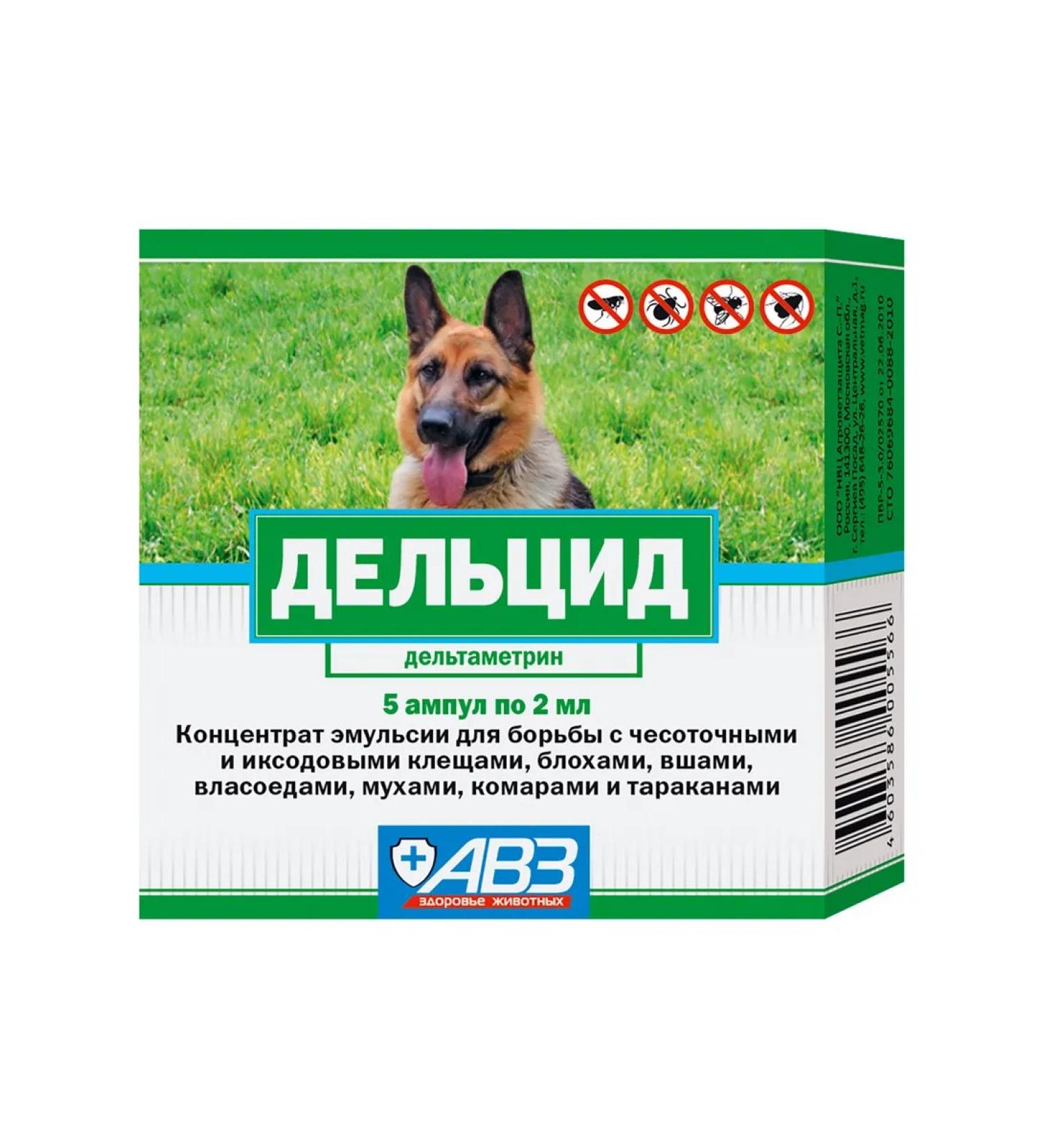 AVZ Delcide solution for rabbits and dogs from parasites 5 ampoules