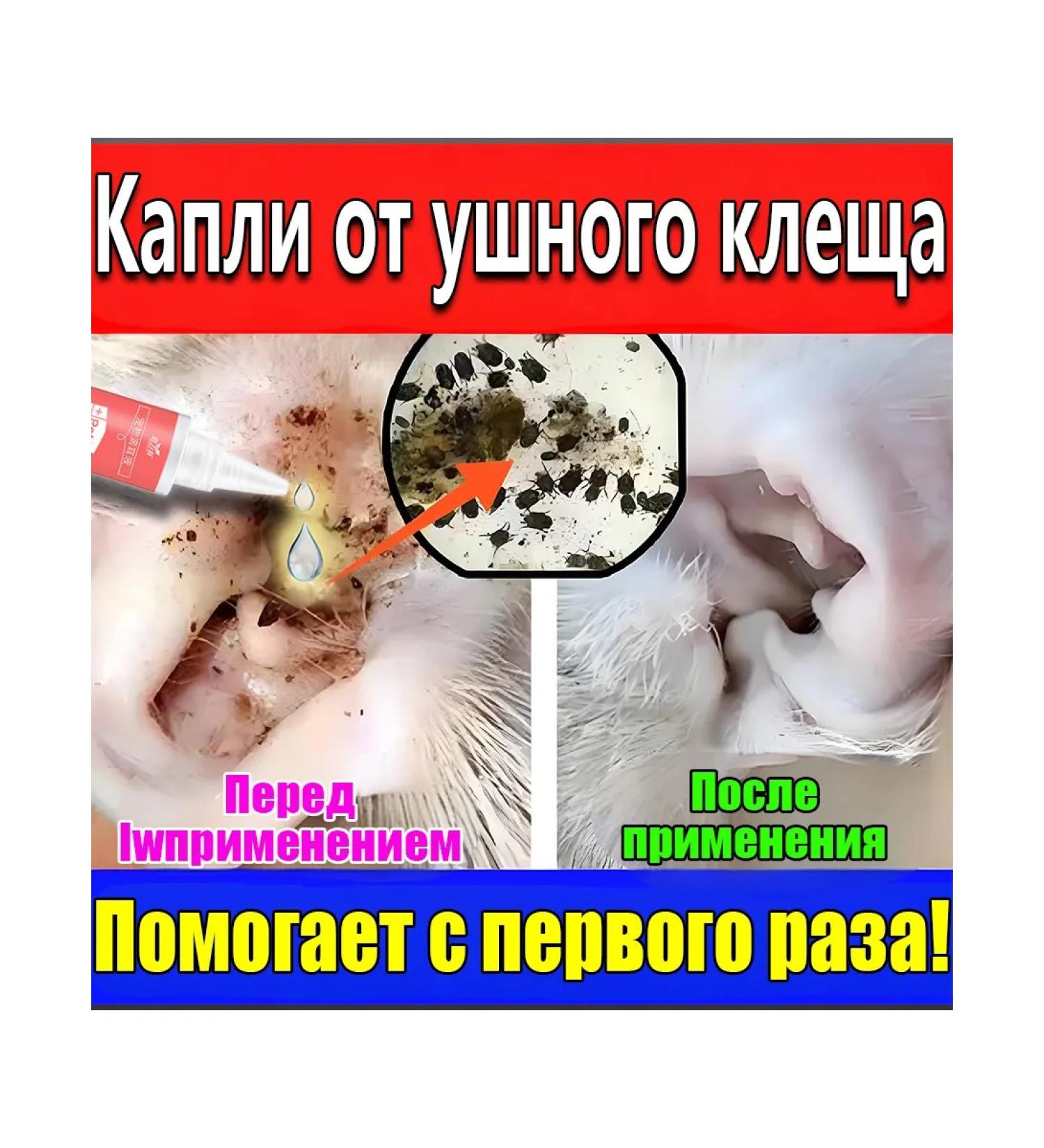 Ear drops from animals tick 60 ml*3 - Buy Online on GoSupps.com