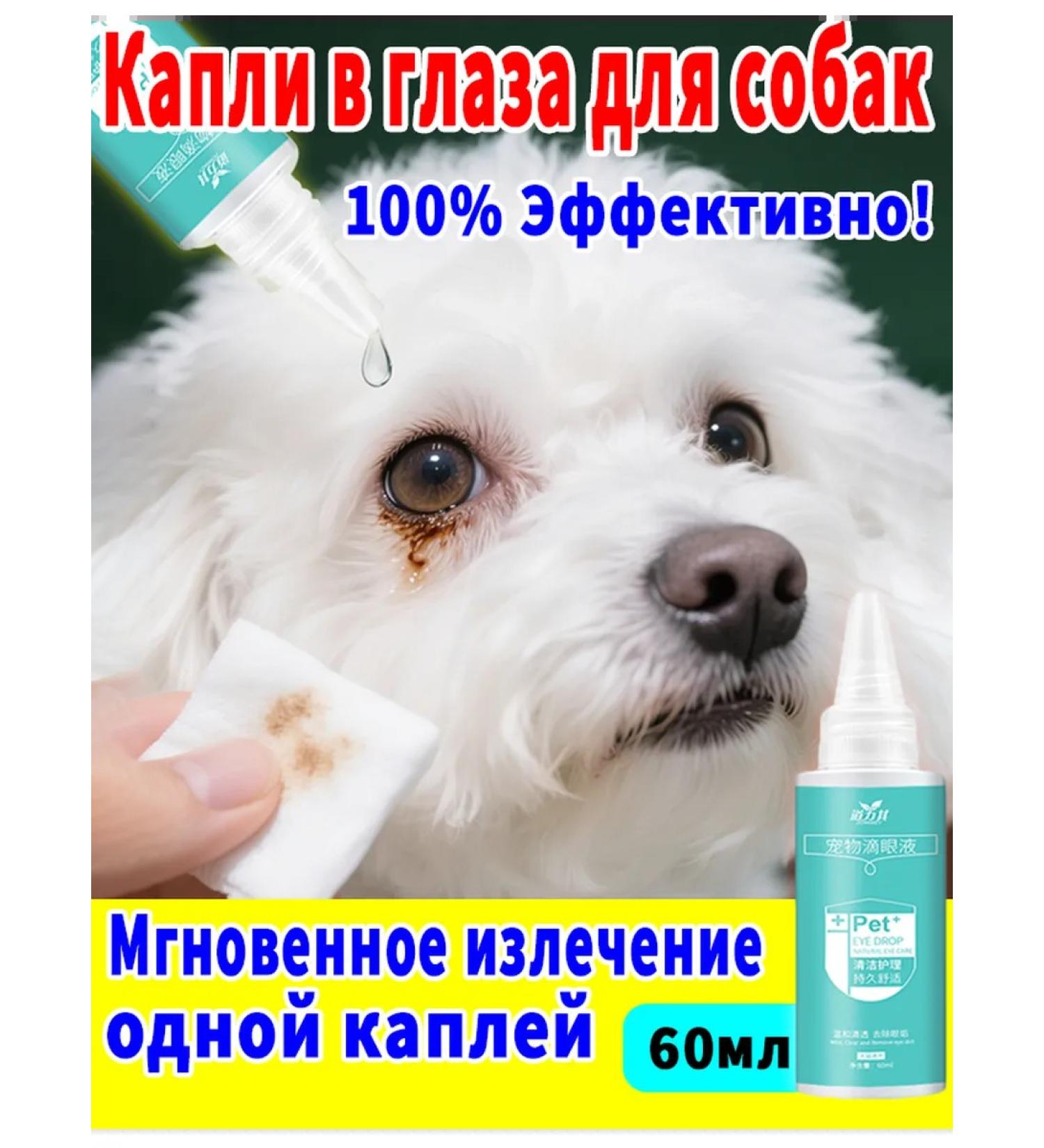 Drops for the eyes of dogs from lacrimal paths 60 ml - Buy Online on GoSupps.com
