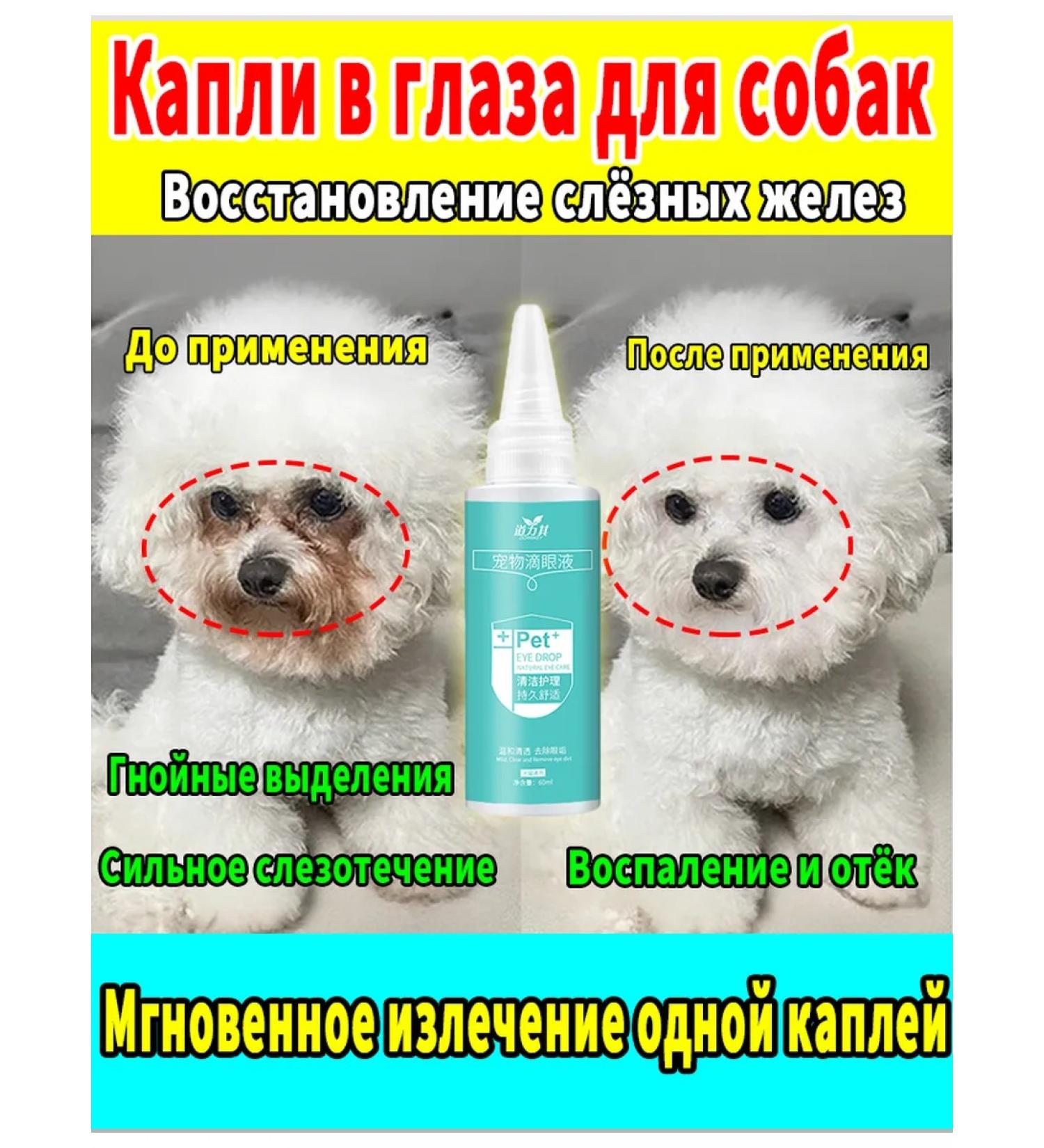 Drops for the eyes of dogs from lacrimal paths 60ml - Buy Online on GoSupps.com