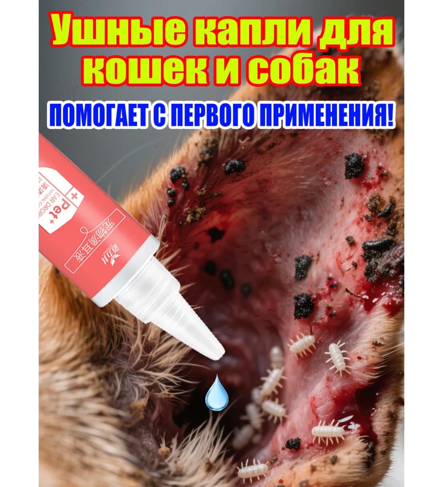 Ear drops for cats and dogs from ticks 120ml - Buy Online on GoSupps.com