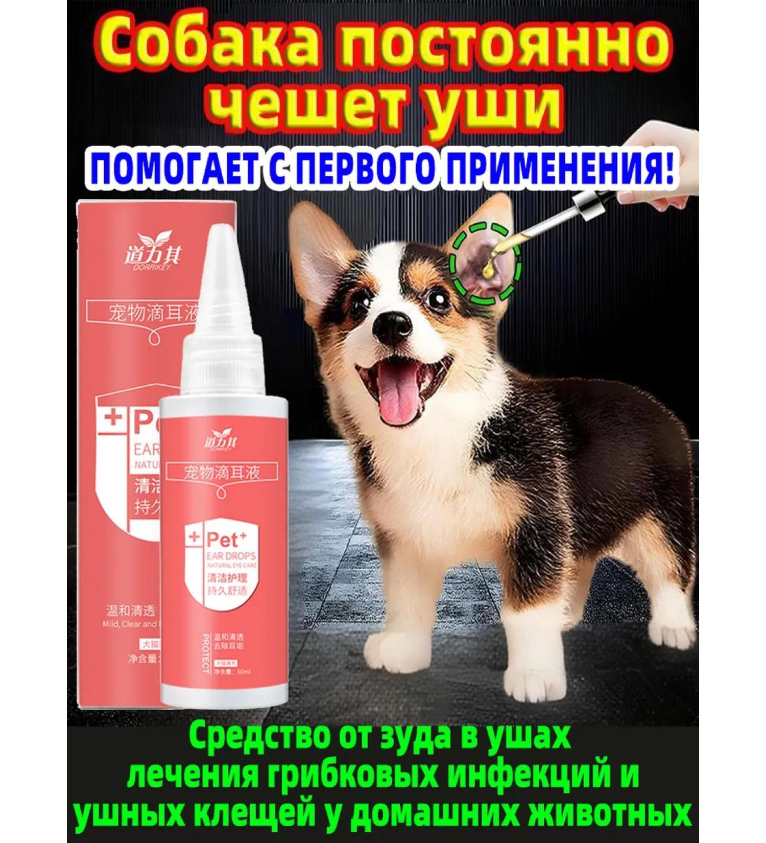 Ear drops for dogs and cats 120 ml - Buy Online on GoSupps.com