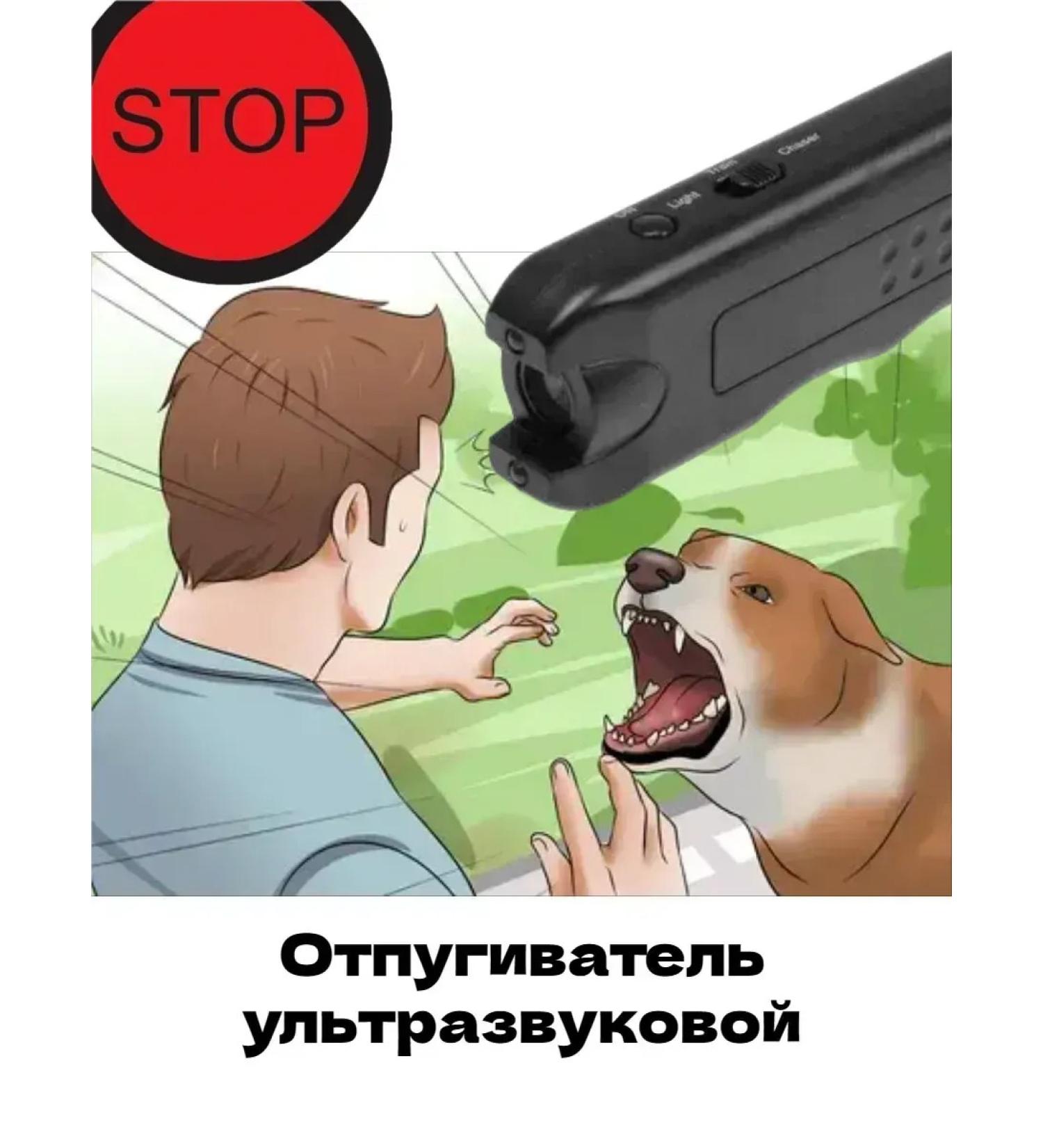 Dog fighter to protect with a flashlight flashlight - Buy Online on GoSupps.com