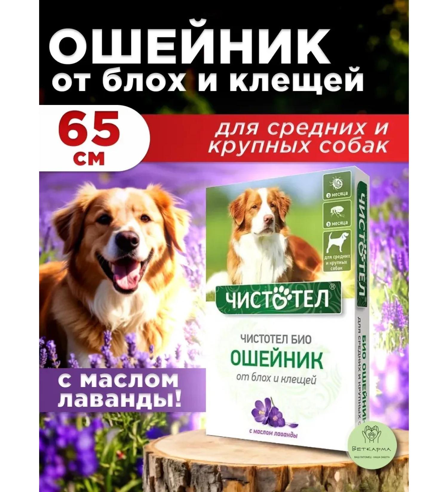 Neoterica Collar celandine bio for dogs 65 cm - Buy Online on GoSupps.com