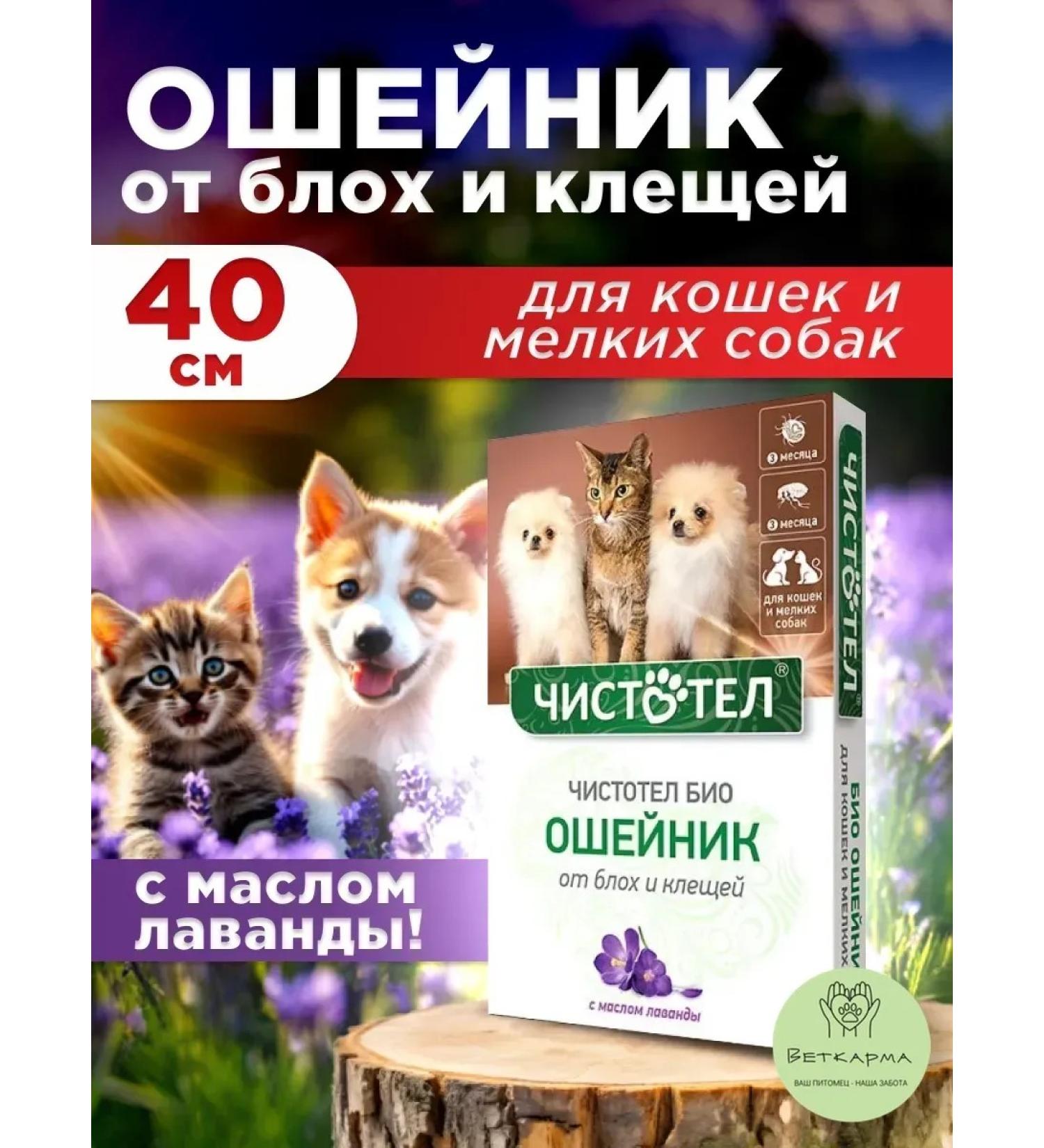 Neoterica Collar celandine bio for cats and dogs 40 cm - Buy Online on GoSupps.com