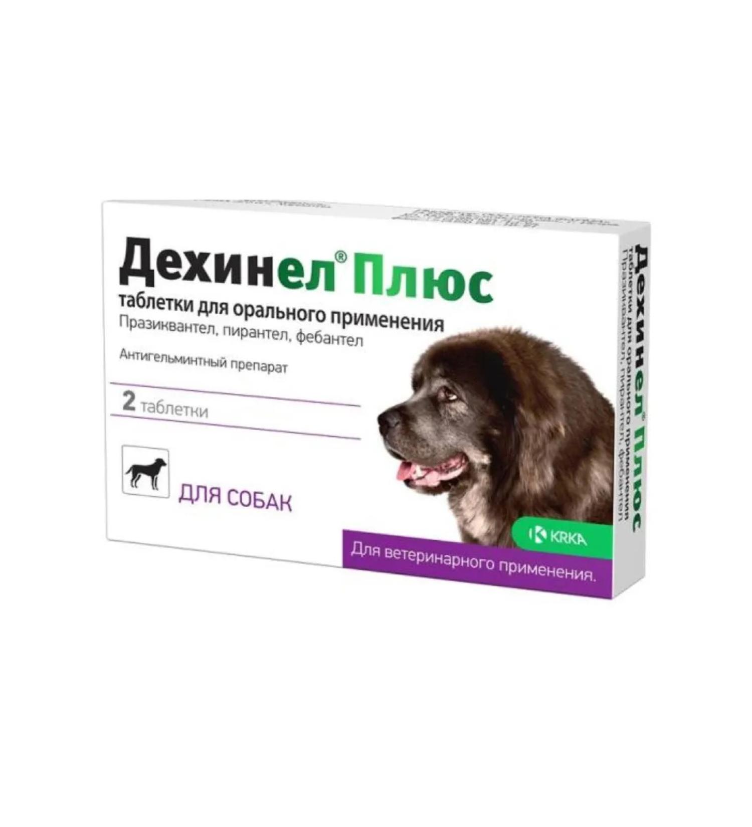 KRKA Dechinel plus tablets for large dogs 2 pcs
