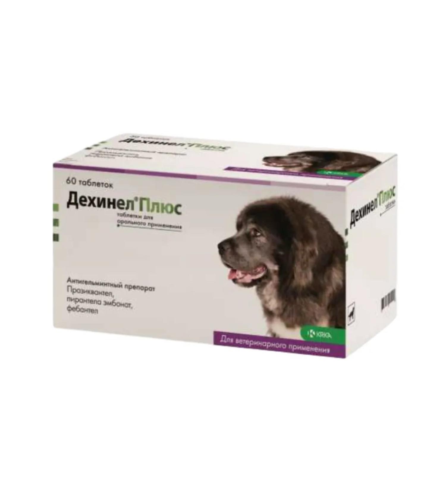 KRKA Dechinel plus tablets for large dogs 60pcs