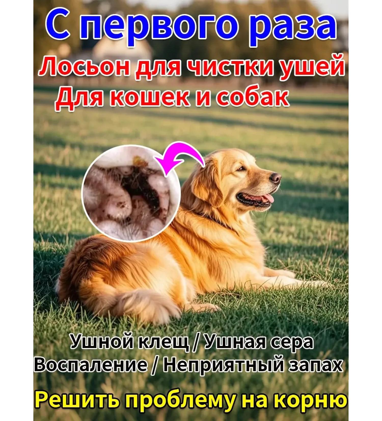 Cleaning lotion for the ears of dogs and cats 120 ml - Buy Online on GoSupps.com