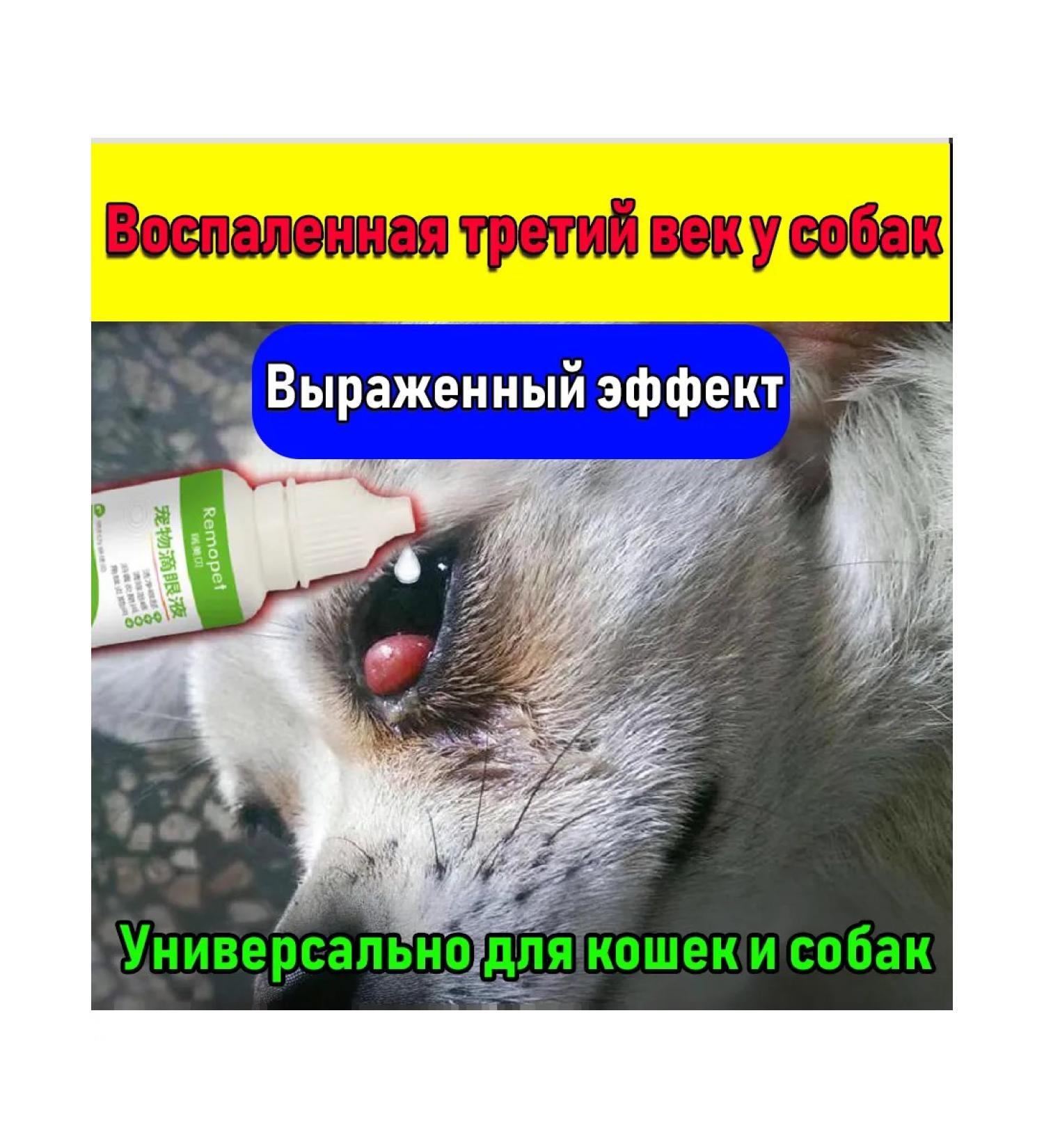 Drops from a cherry eye for dogs and cats 20 ml - Buy Online on GoSupps.com