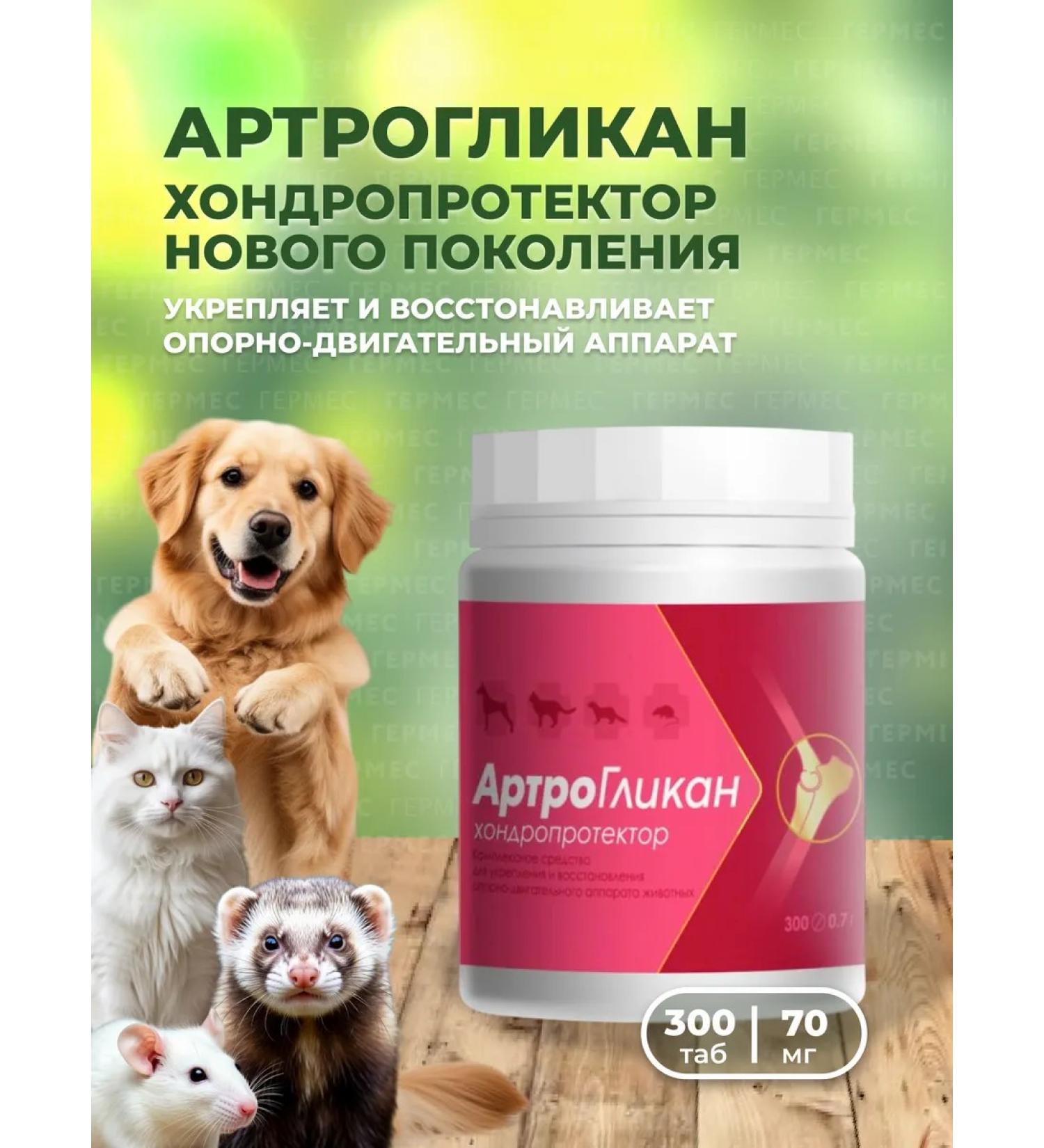 Biocenter CHIN Arthroglycan for dogs and cats chondroprotector 300 tab - Buy Online on GoSupps.com