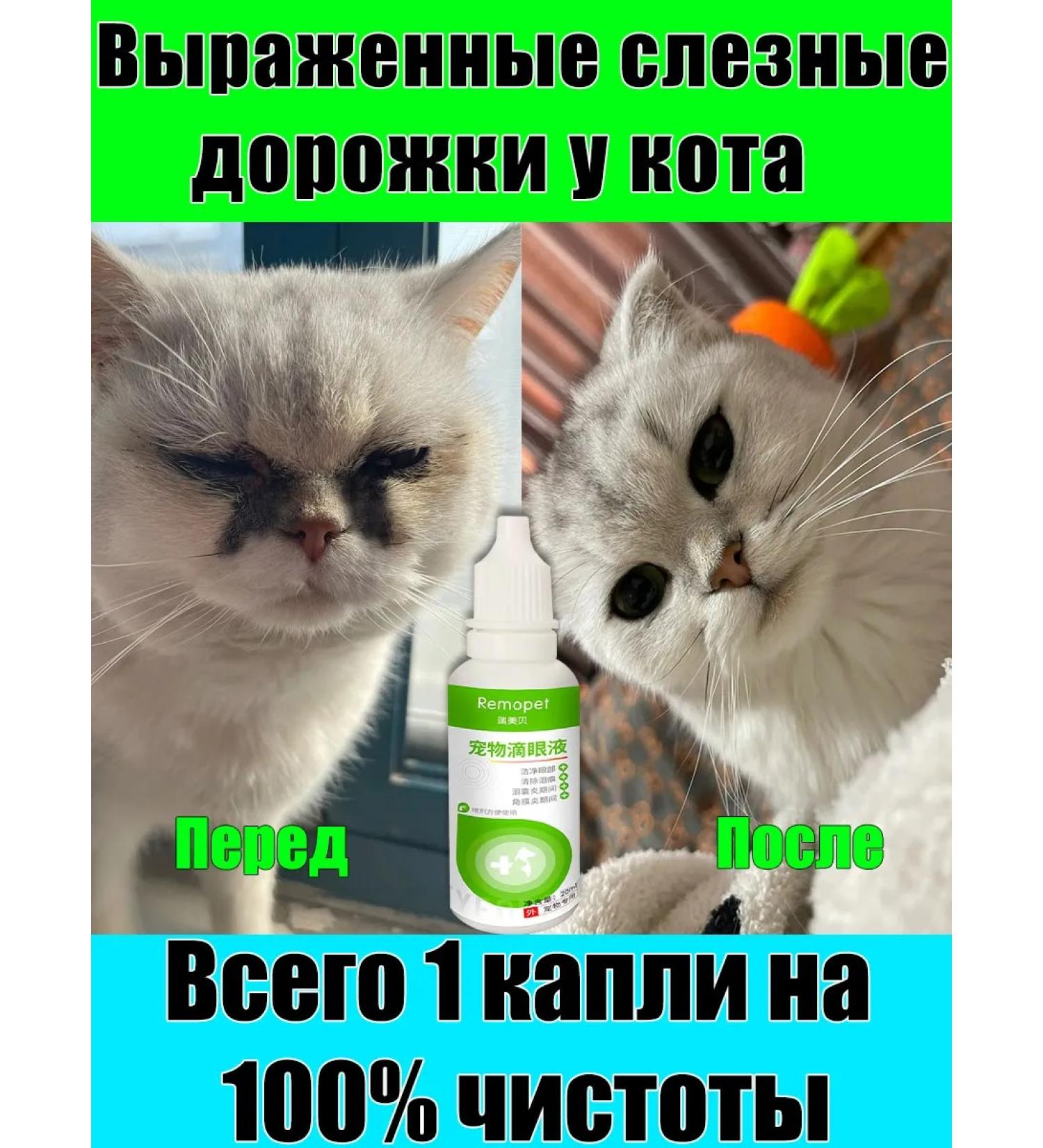 Eye drops for cats 40 ml - Buy Online on GoSupps.com