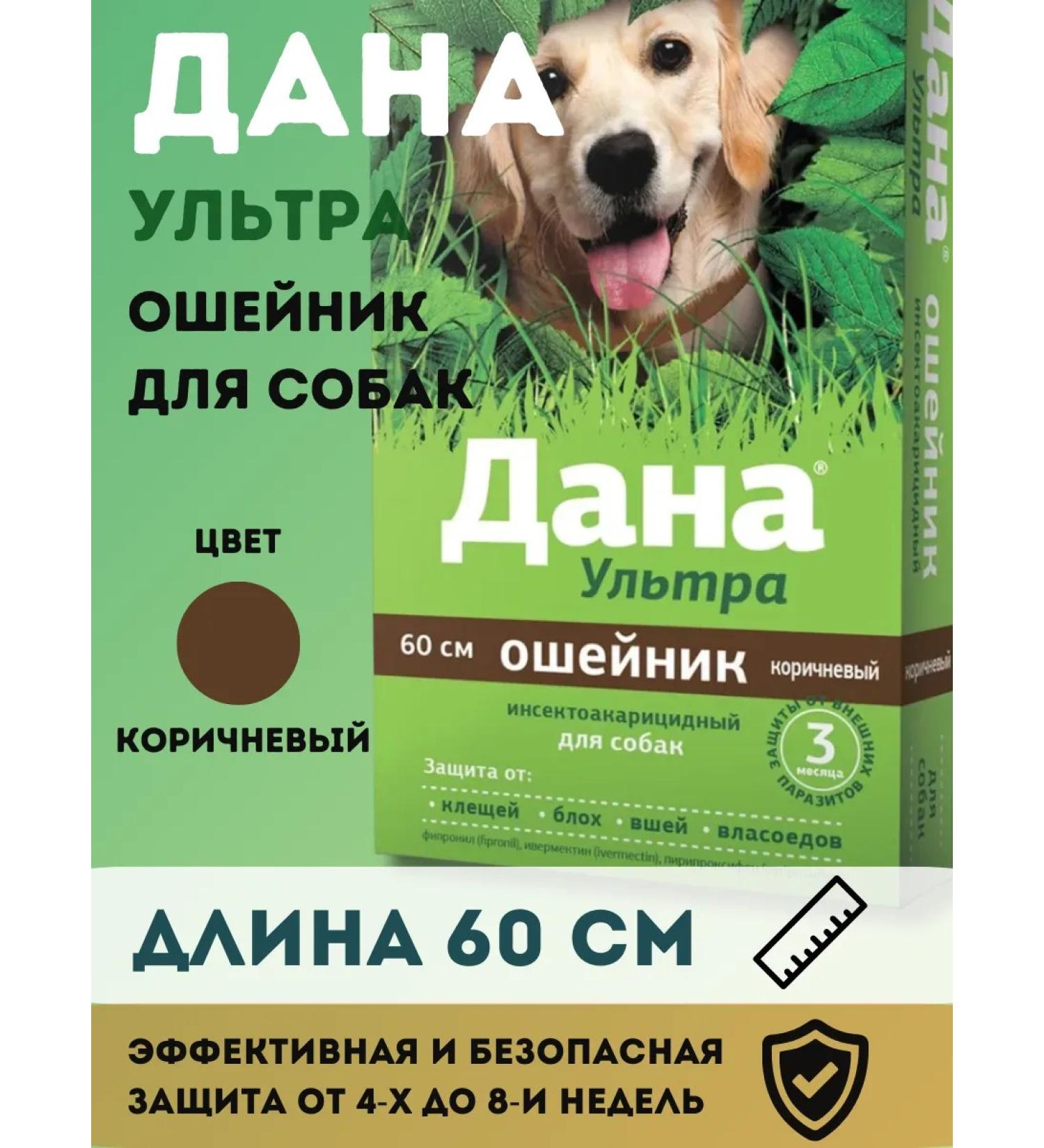 Apicenna Dannaya ultra for dogs collar 60 cm brown