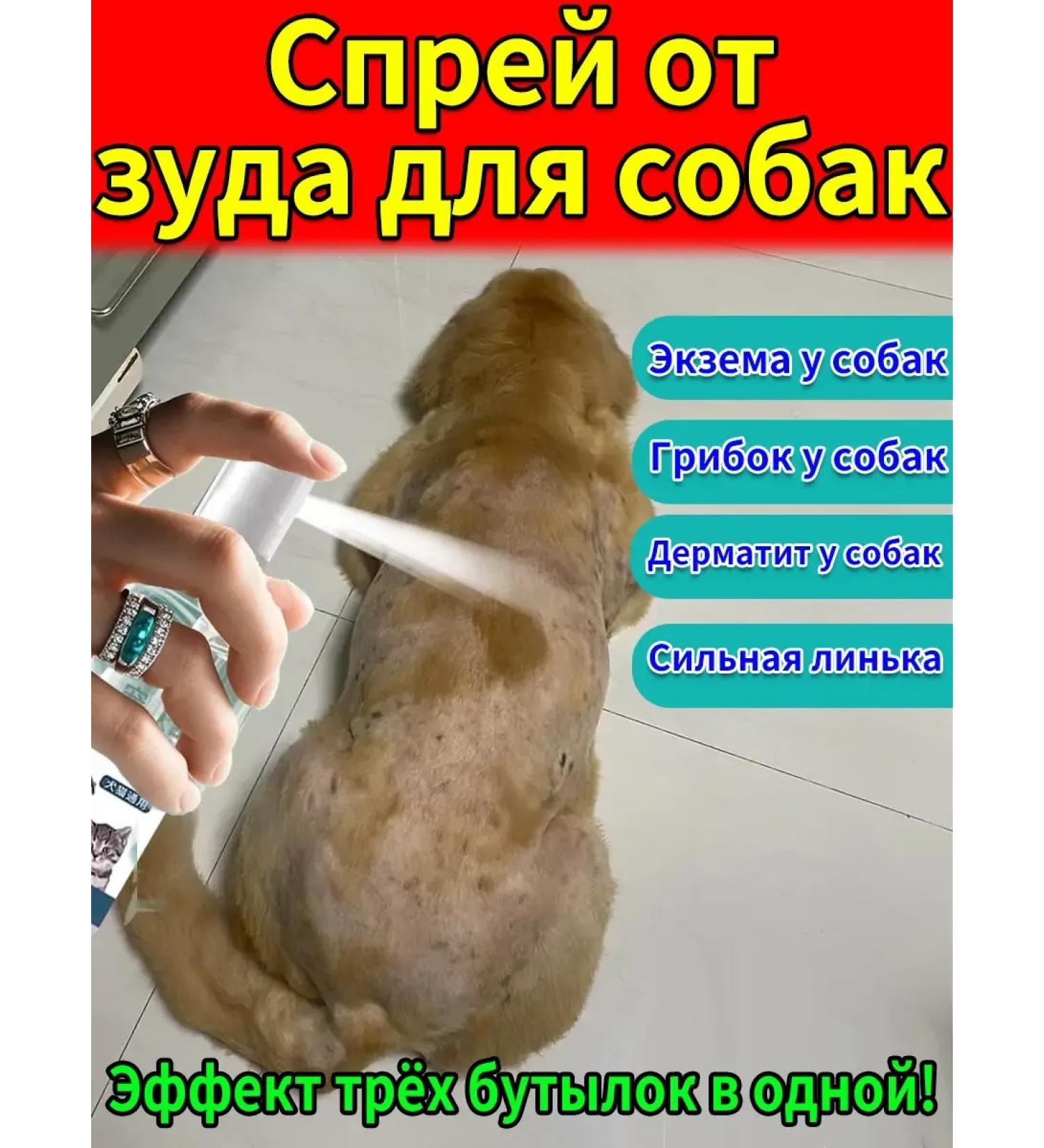 Spray from itching for dogs 100ml - Buy Online on GoSupps.com