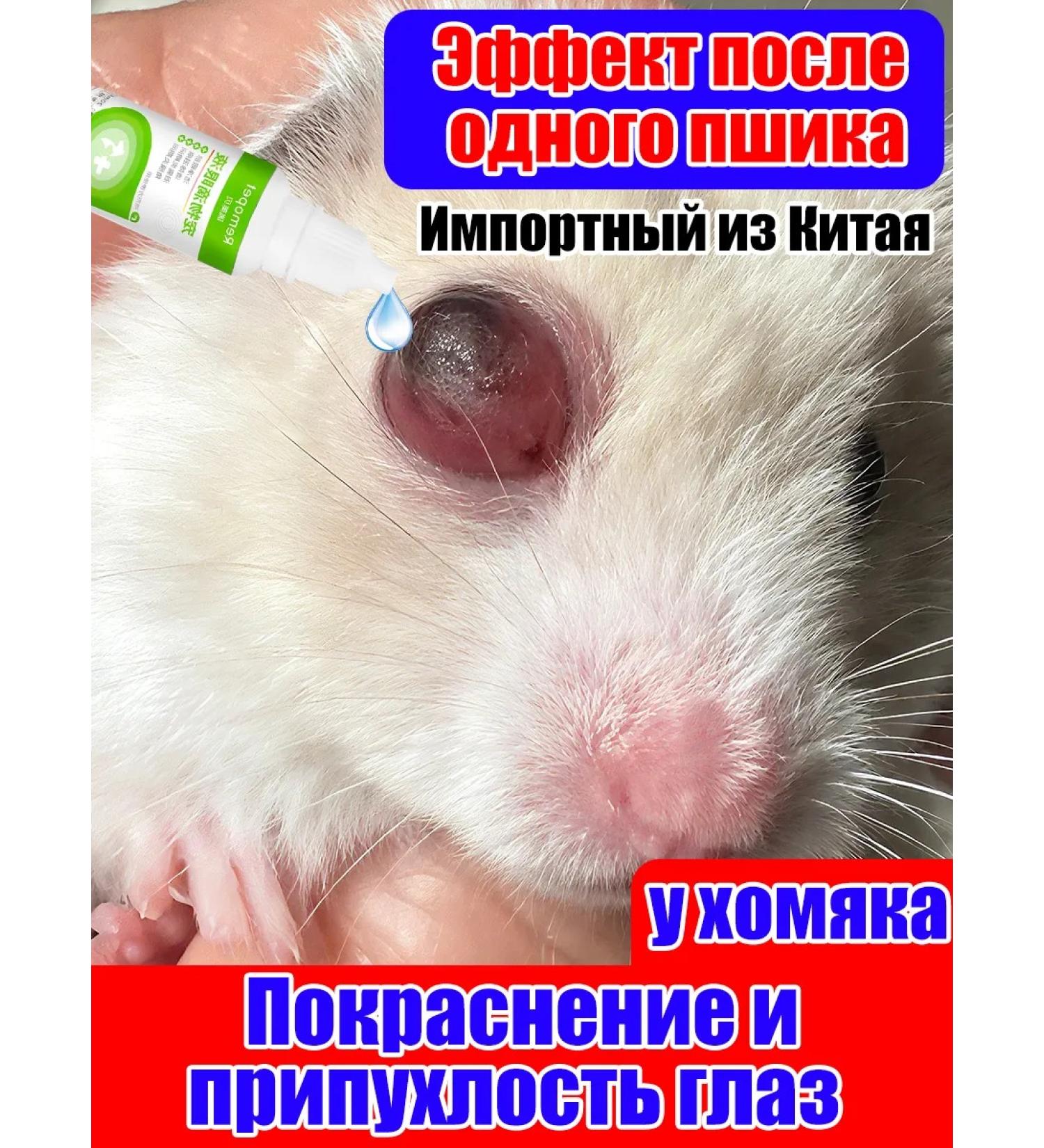 Potion from eye inflammation for hamsters 20 ml - Buy Online on GoSupps.com