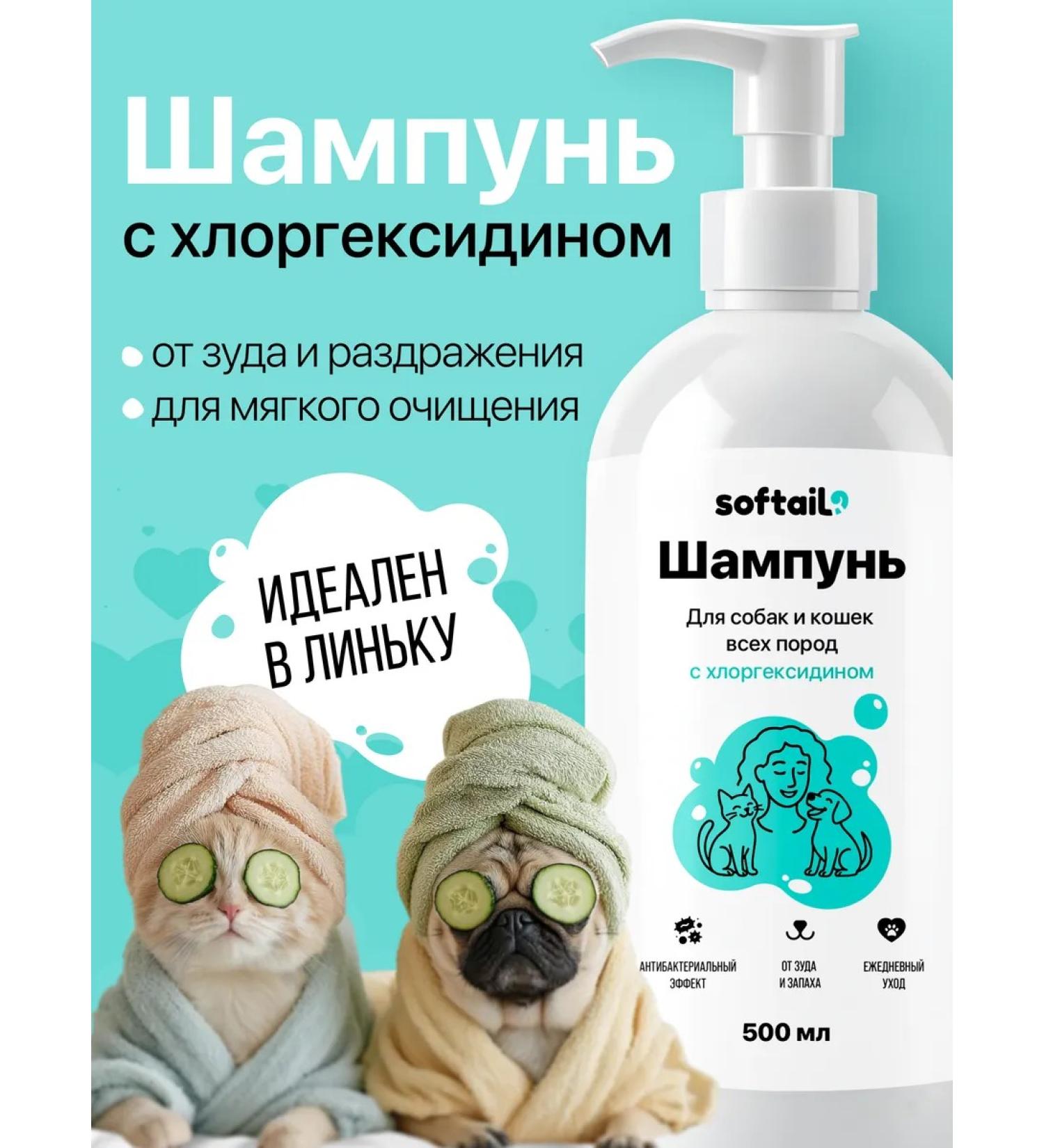 Softail Shampoo for dogs and cats with chlorhexidine 2% - Buy Online on GoSupps.com