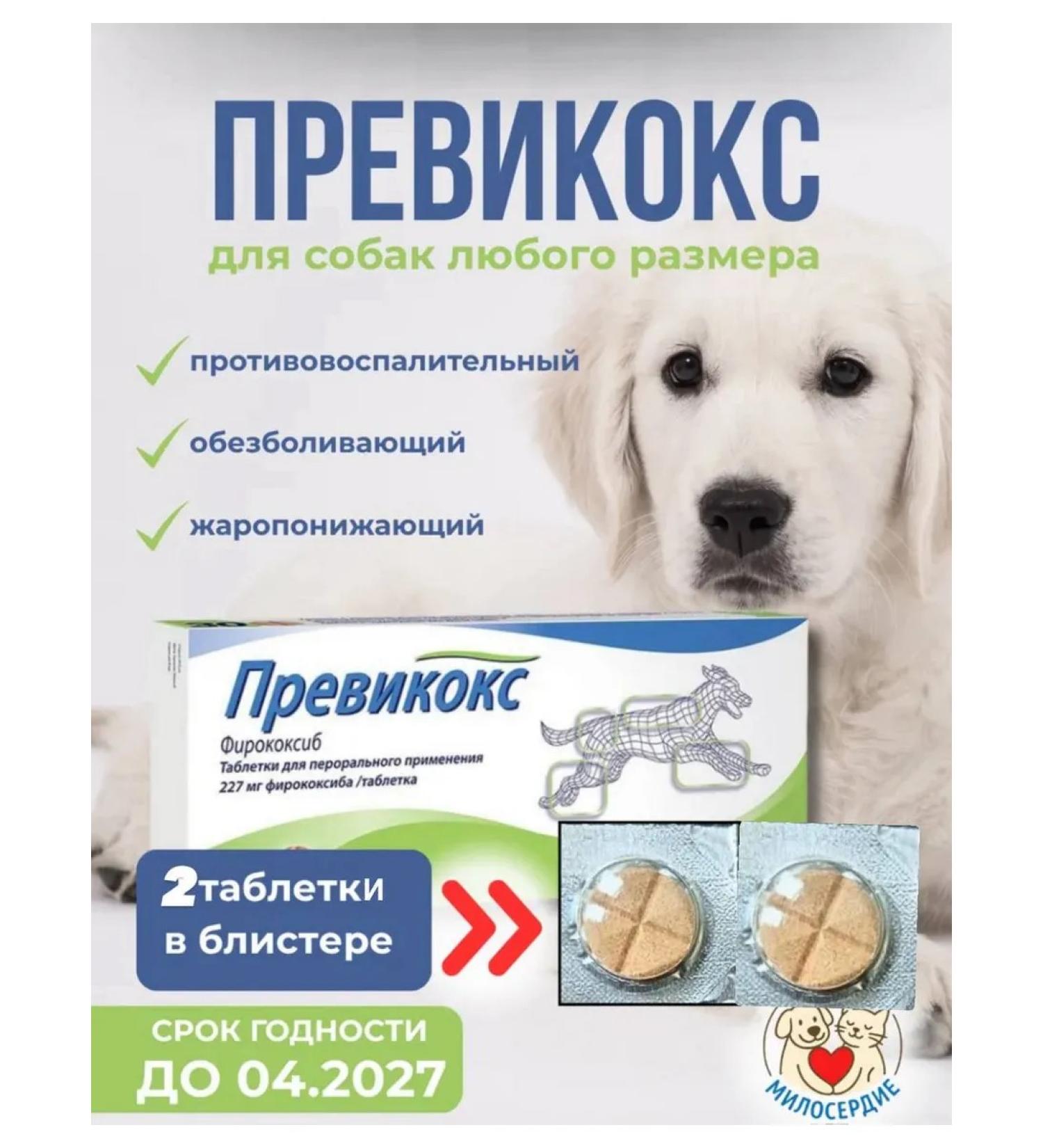 bravecto Previkox 227 mg 2 tab. (term up to 04 2027)