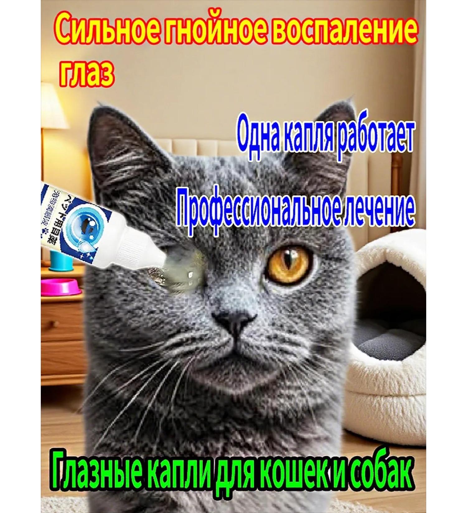 xie de yuan Cataract drops for dogs cat - Buy Online on GoSupps.com