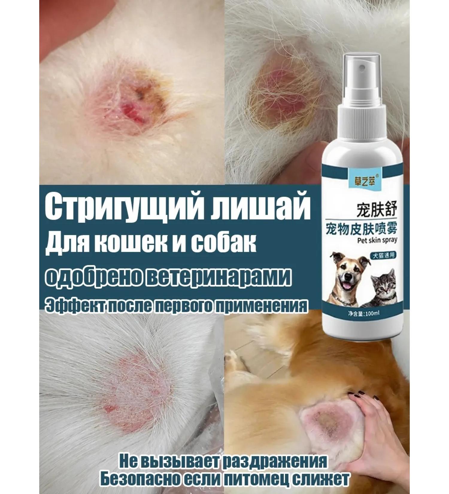 Strigeous lichen in animals - Buy Online on GoSupps.com